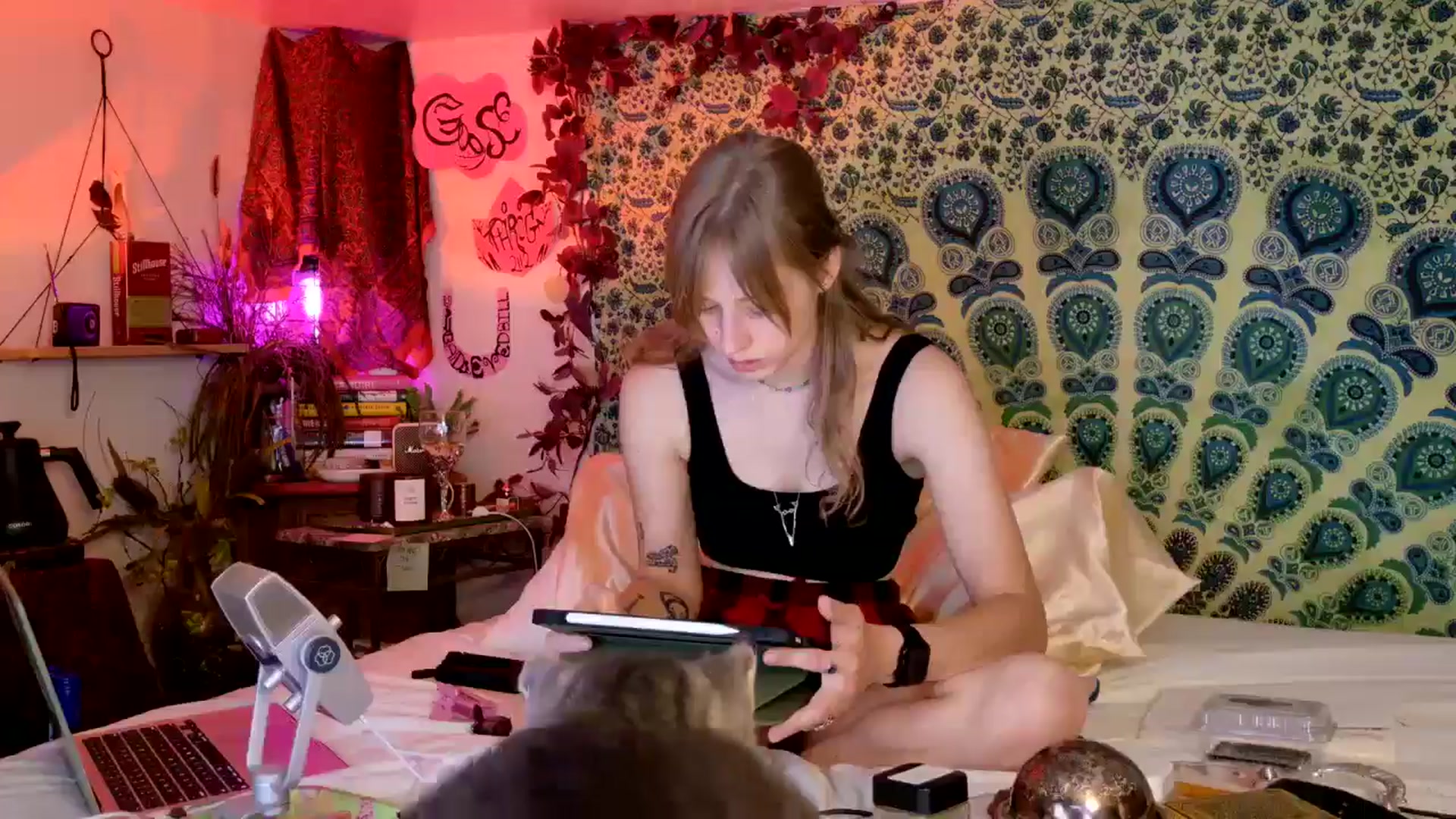 Gallery image thumbnail from ellispierce's myfreecams stream on, 05/10/2026, 08:08 image 5 of 20