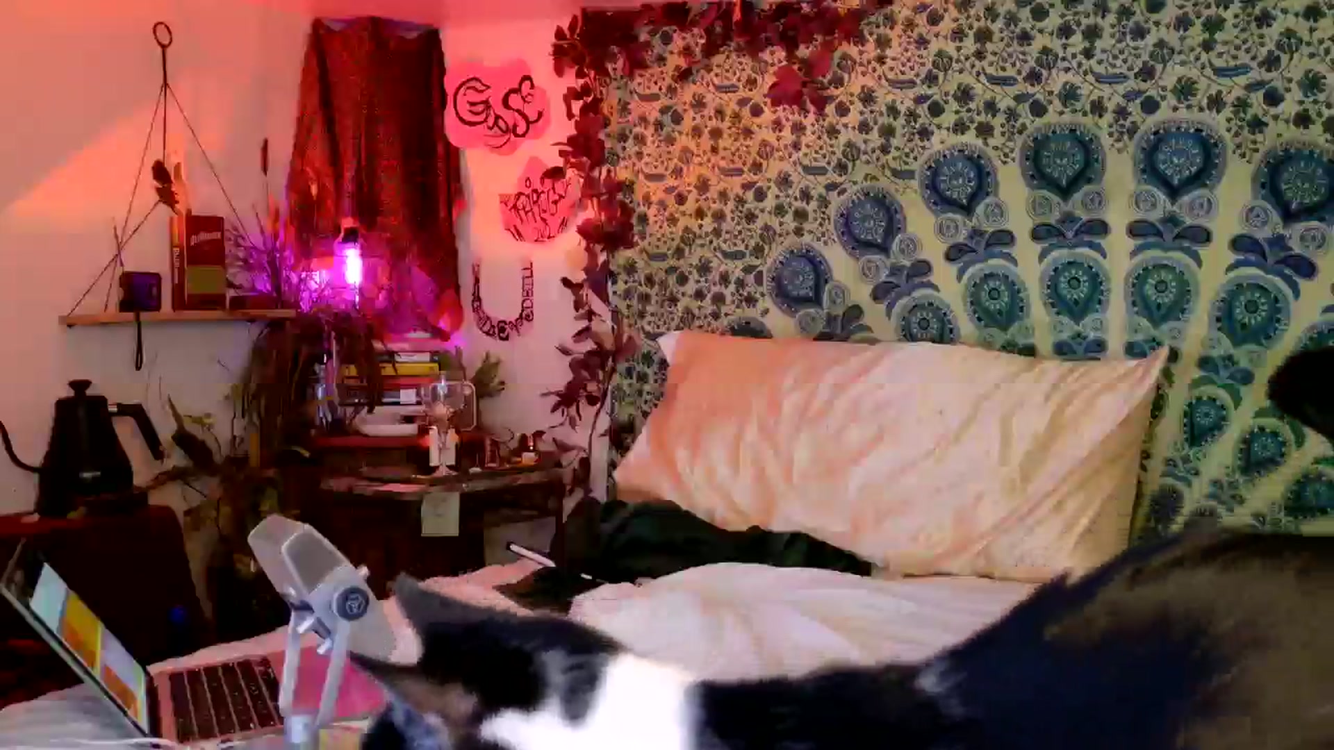 Gallery image thumbnail from ellispierce's myfreecams stream on, 05/10/2026, 10:14 image 17 of 20