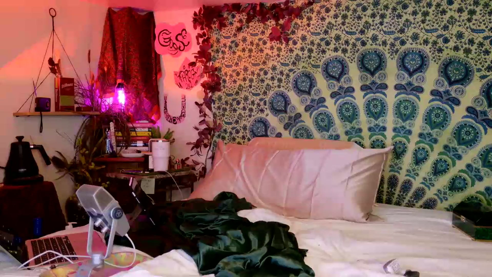 Gallery image thumbnail from ellispierce's myfreecams stream on, 05/13/2026, 08:25 image 3 of 20