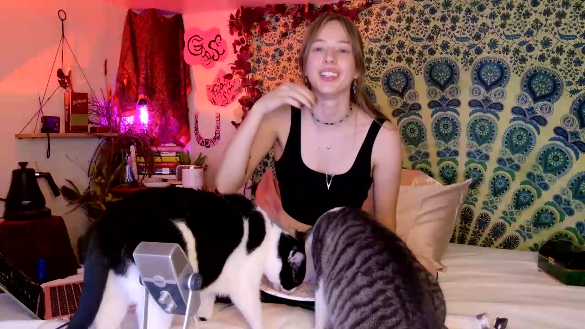 Gallery image thumbnail from ellispierce's myfreecams stream on, 05/13/2026, 08:25 image 5 of 20