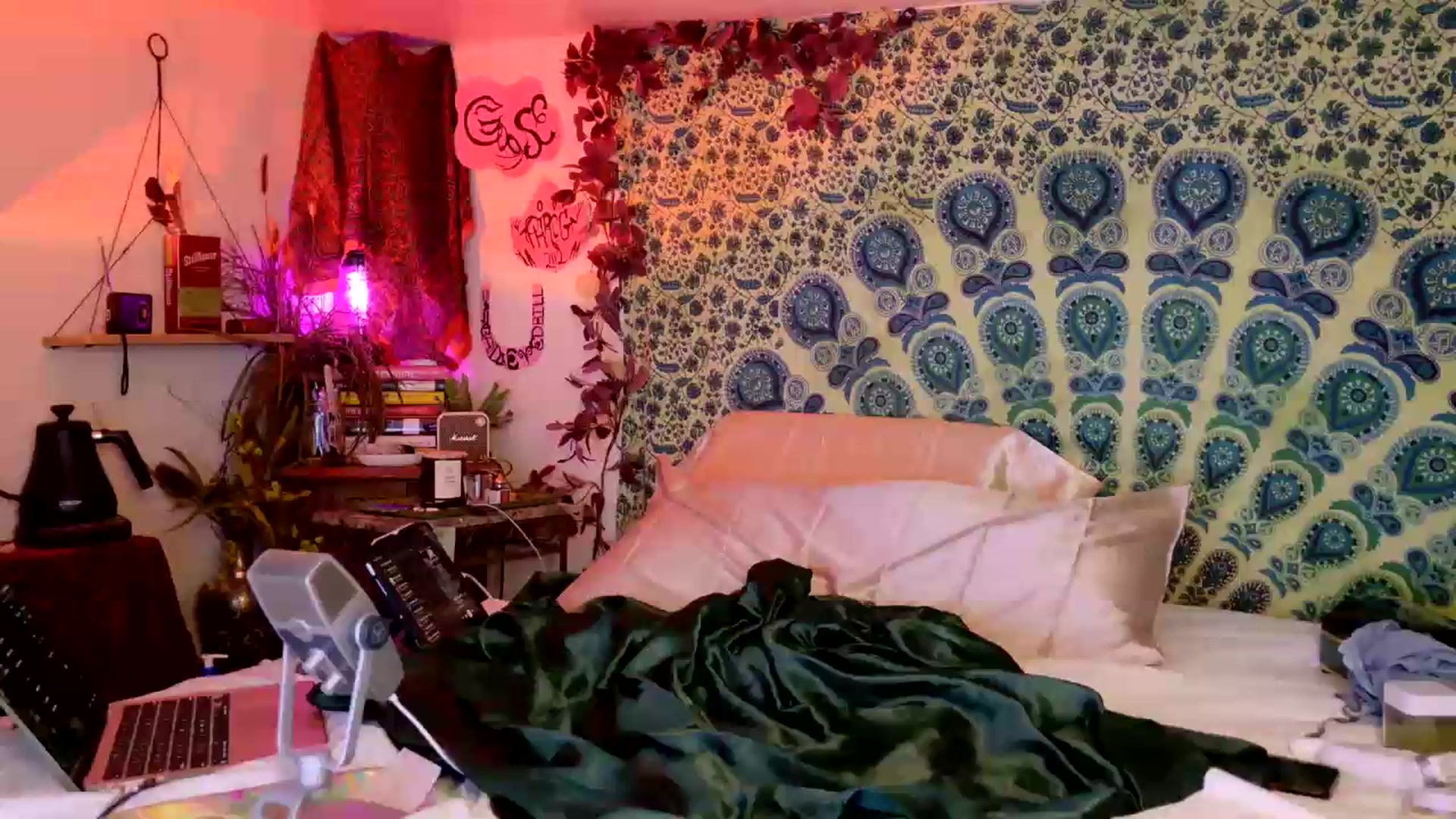 Gallery image thumbnail from ellispierce's myfreecams stream on, 05/13/2026, 08:25 image 18 of 20