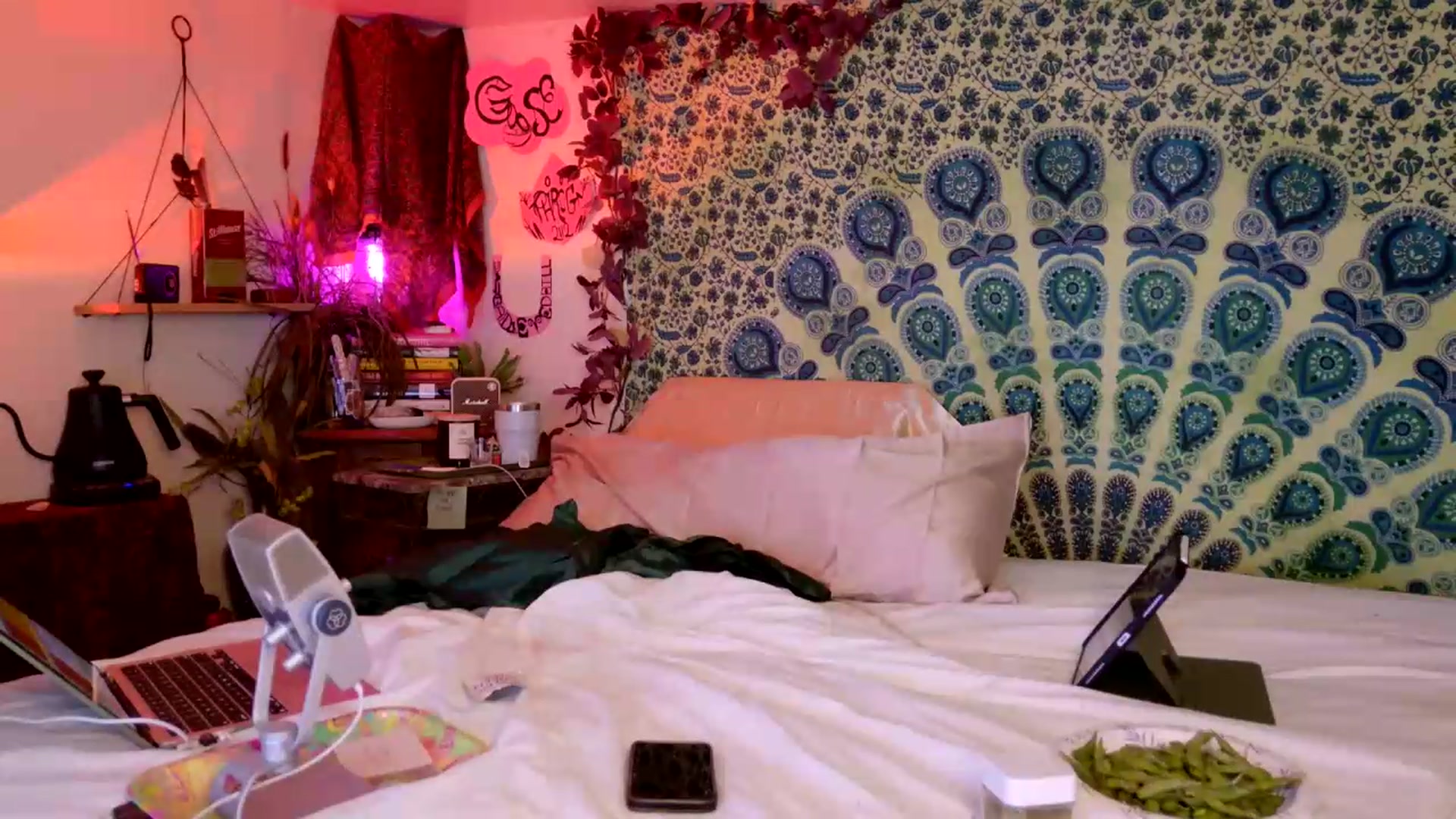 Gallery image thumbnail from ellispierce's myfreecams stream on, 05/14/2026, 08:26 image 4 of 20