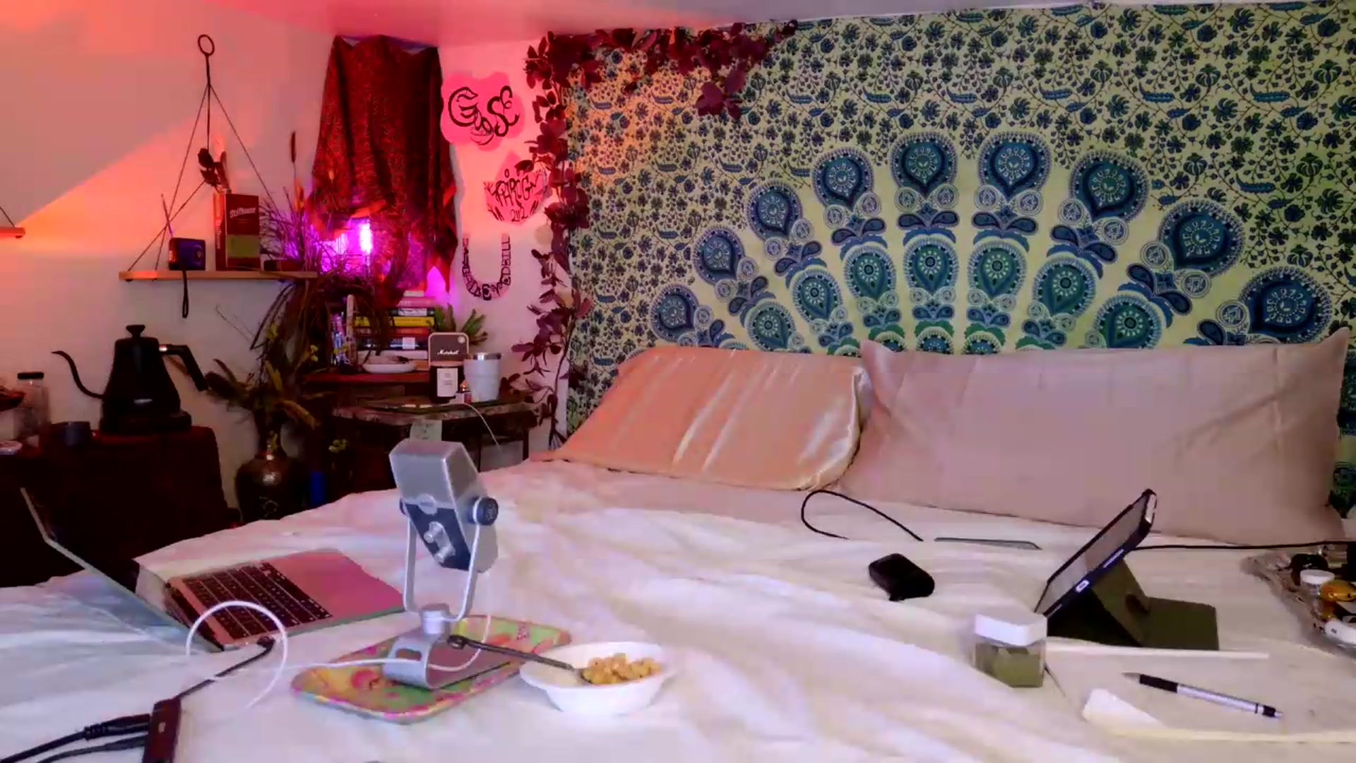 Gallery image thumbnail from ellispierce's myfreecams stream on, 05/16/2026, 08:05 image 15 of 20
