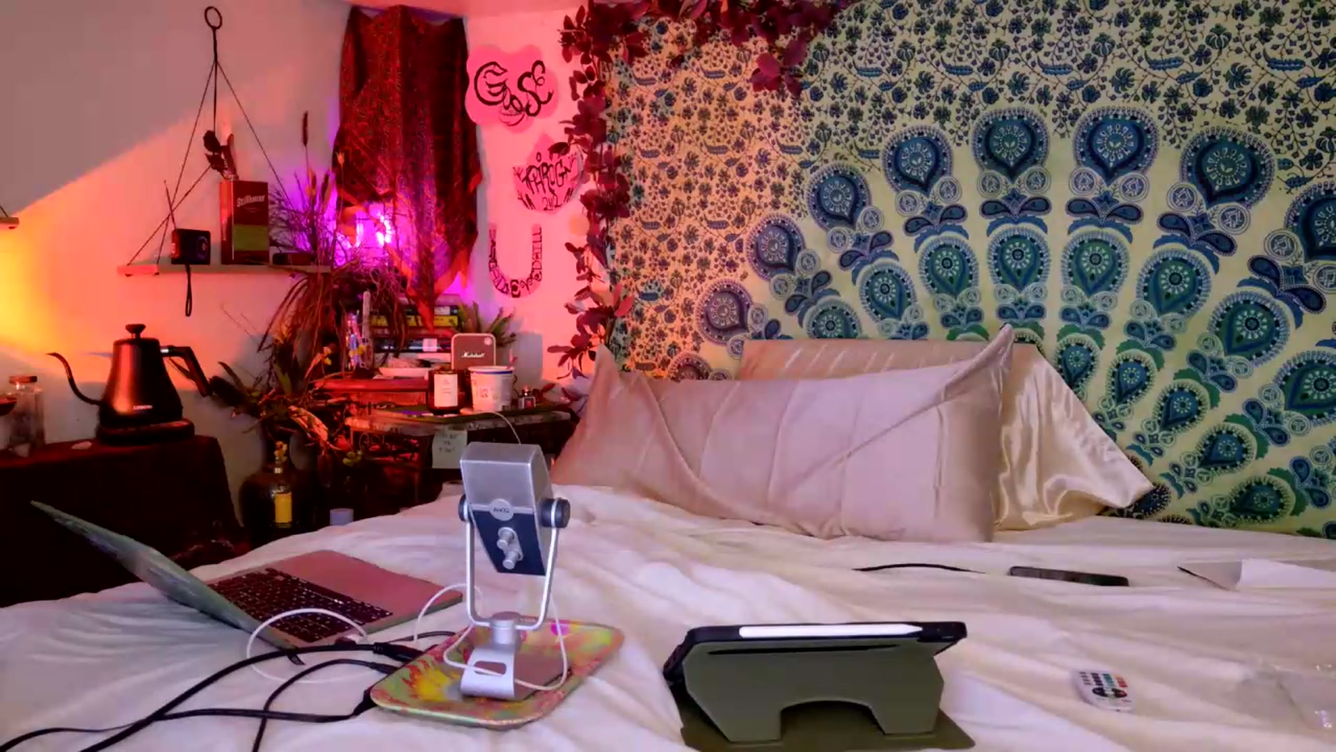 Gallery image thumbnail from ellispierce's myfreecams stream on, 05/17/2026, 07:45 image 17 of 20