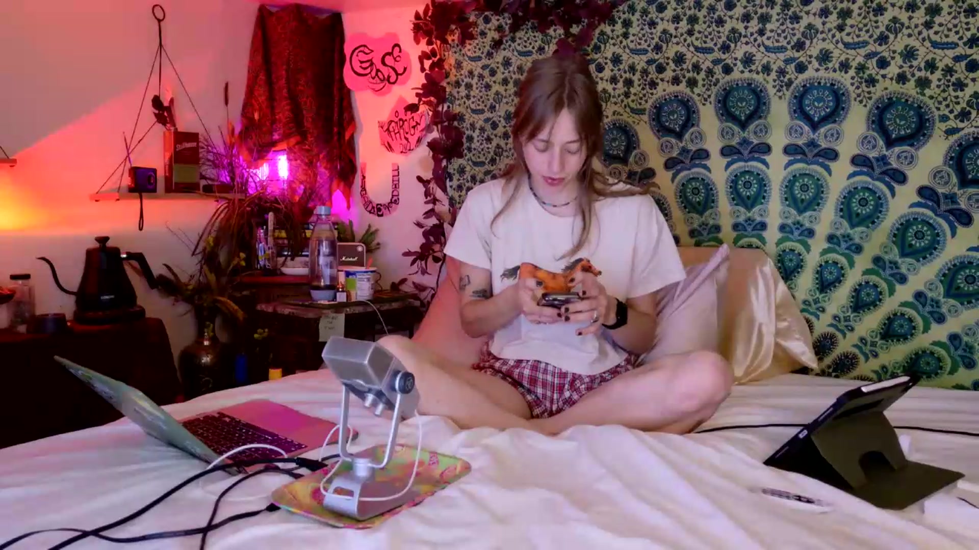 Gallery image thumbnail from ellispierce's myfreecams stream on, 05/17/2026, 07:45 image 2 of 20