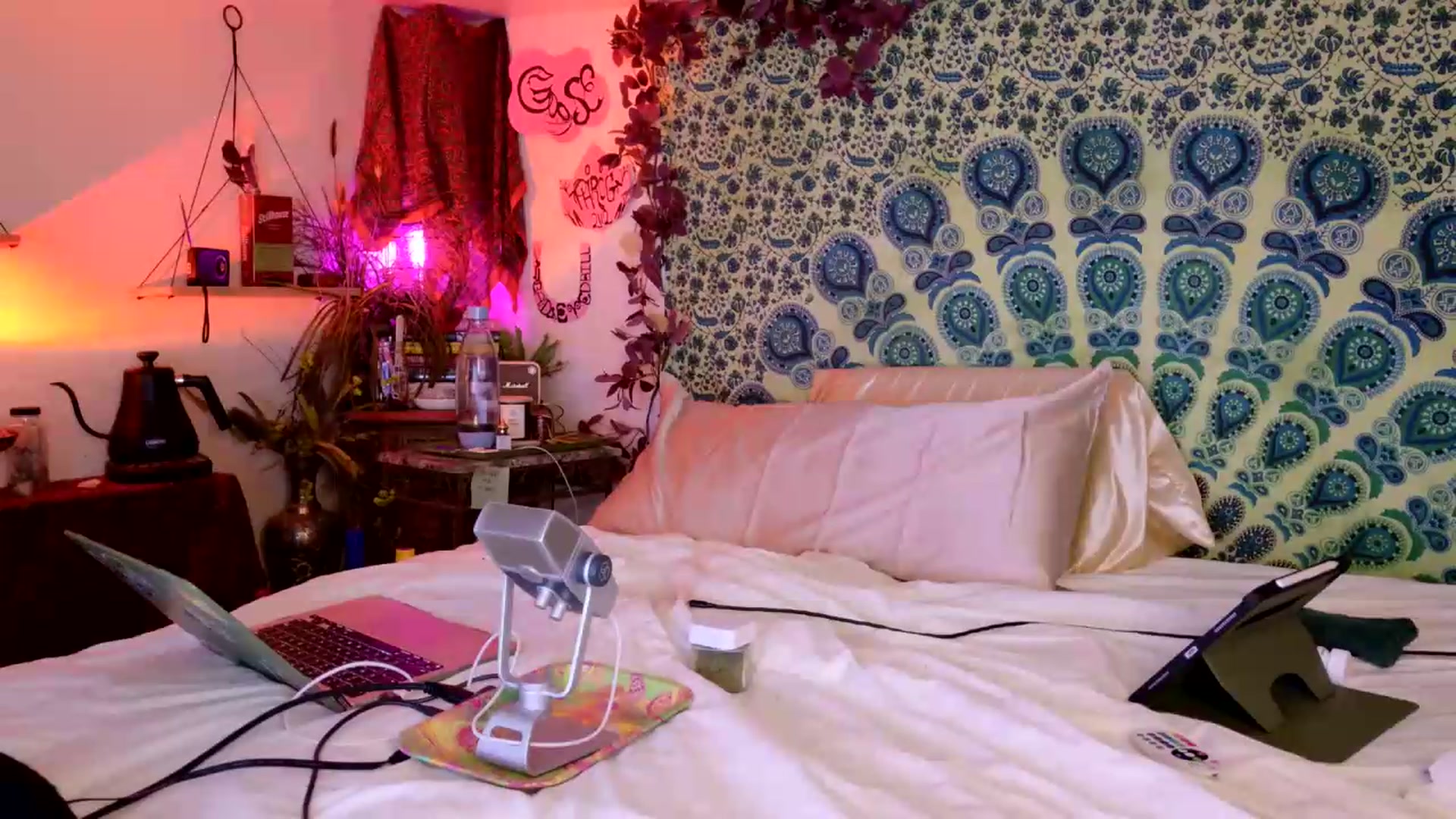 Gallery image thumbnail from ellispierce's myfreecams stream on, 05/17/2026, 07:45 image 5 of 20