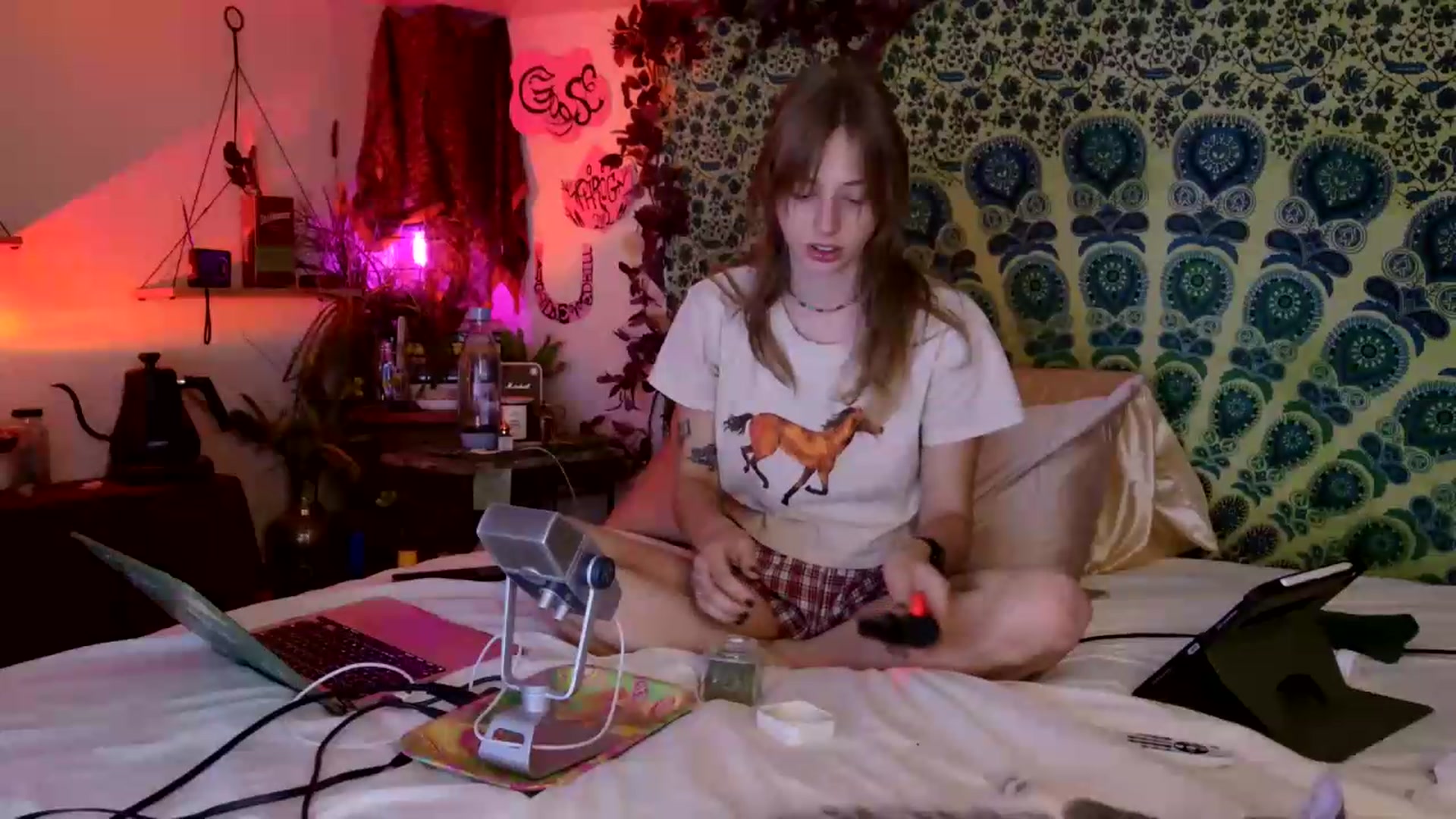 Gallery image thumbnail from ellispierce's myfreecams stream on, 05/17/2026, 07:45 image 4 of 20