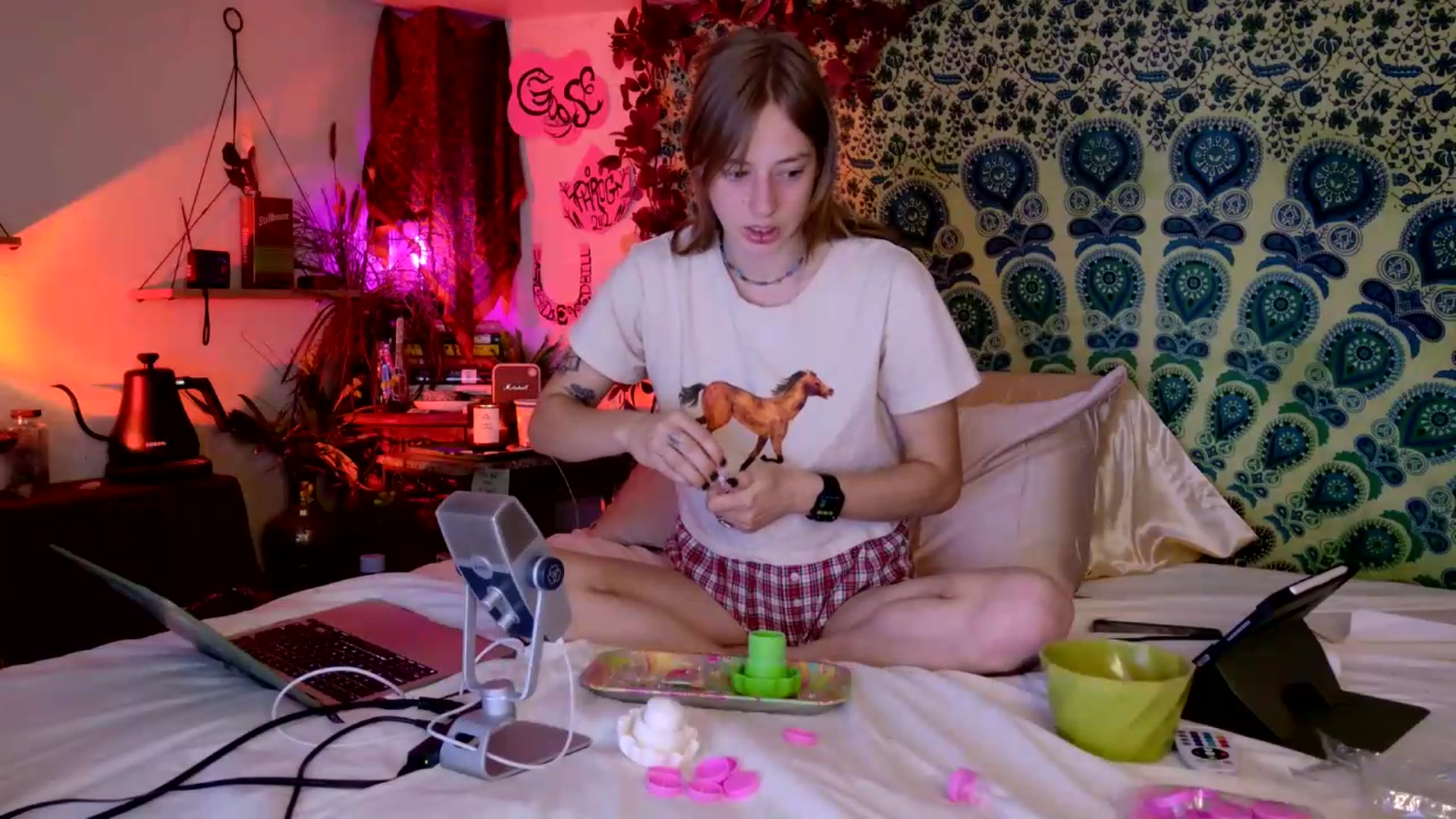 Gallery image thumbnail from ellispierce's myfreecams stream on, 05/17/2026, 07:45 image 13 of 20