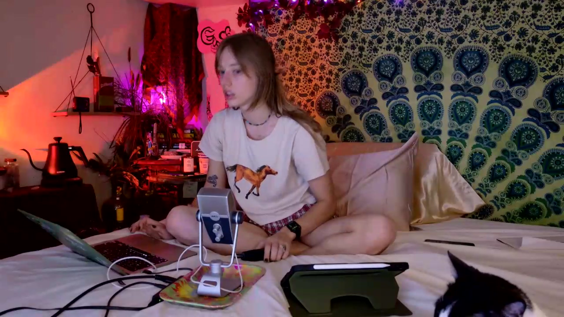 Gallery image thumbnail from ellispierce's myfreecams stream on, 05/17/2026, 07:45 image 19 of 20