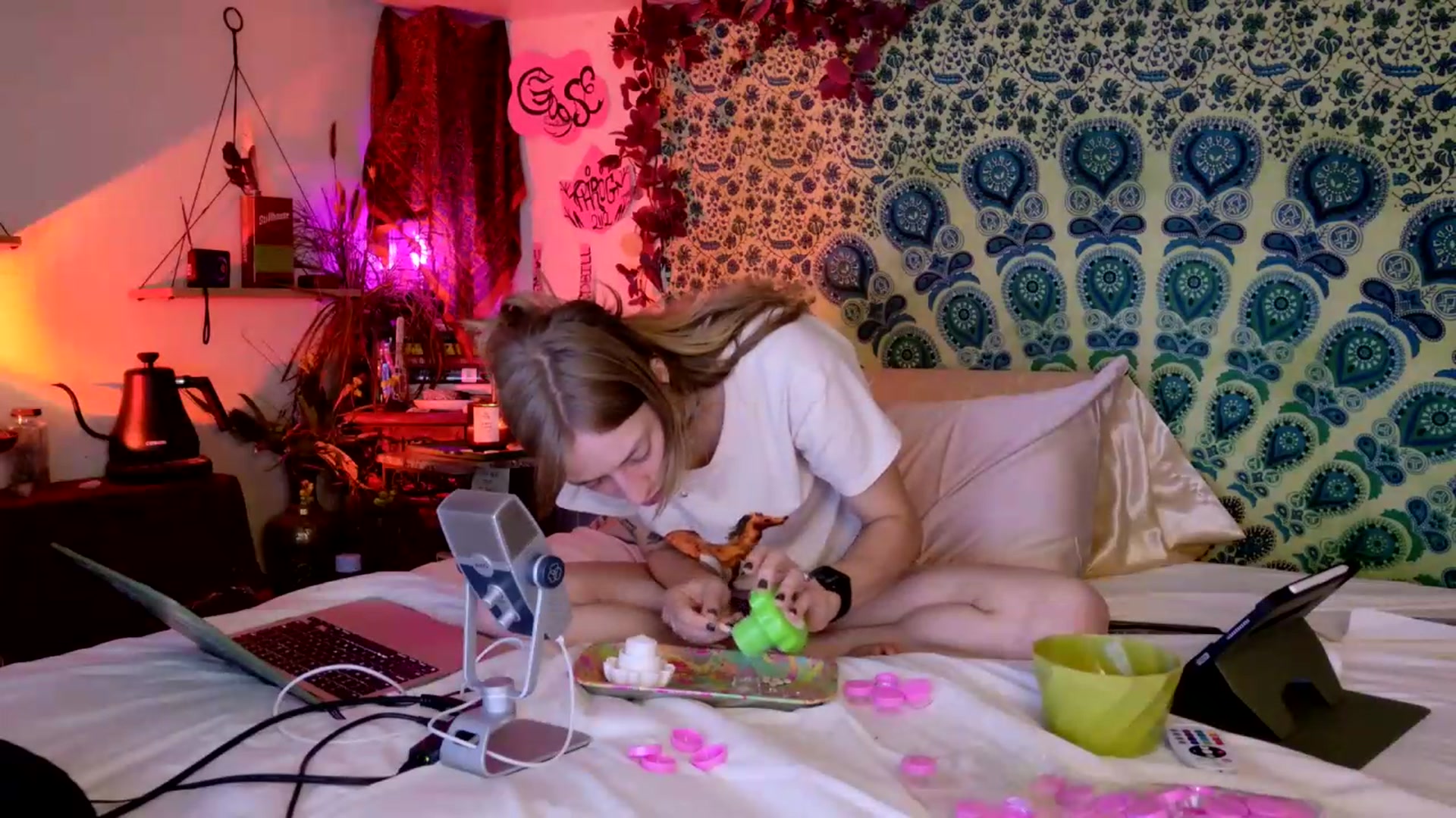Gallery image thumbnail from ellispierce's myfreecams stream on, 05/17/2026, 07:45 image 10 of 20