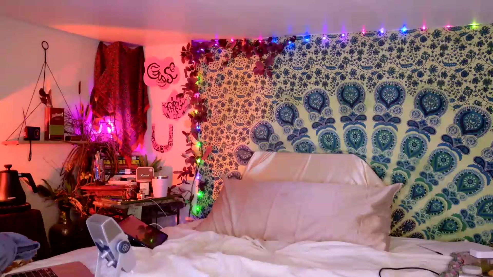 Gallery image thumbnail from ellispierce's myfreecams stream on, 05/19/2026, 10:03 image 15 of 20