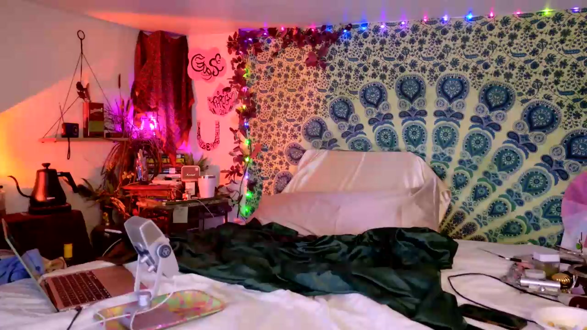 Gallery image thumbnail from ellispierce's myfreecams stream on, 05/19/2026, 10:25 image 20 of 20