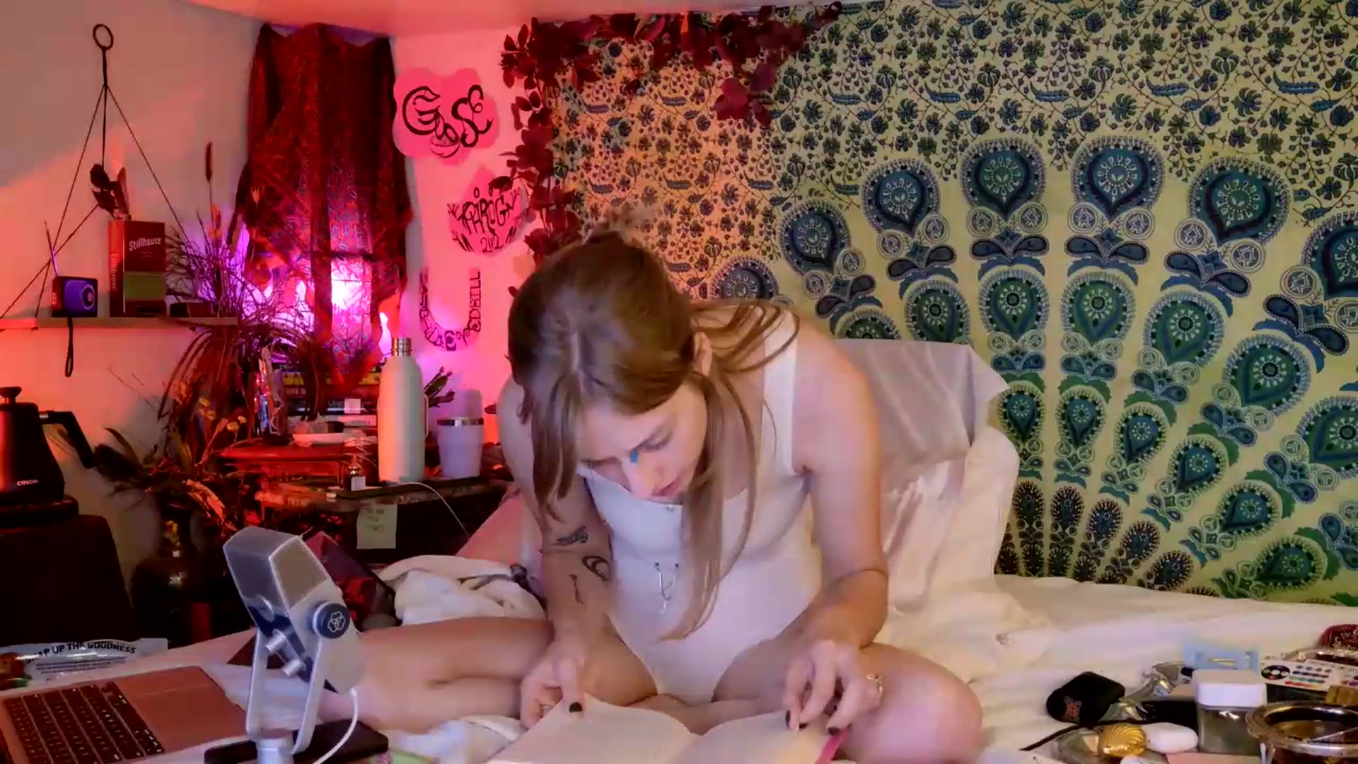 Gallery image thumbnail from ellispierce's myfreecams stream on, 05/22/2026, 09:35 image 4 of 20