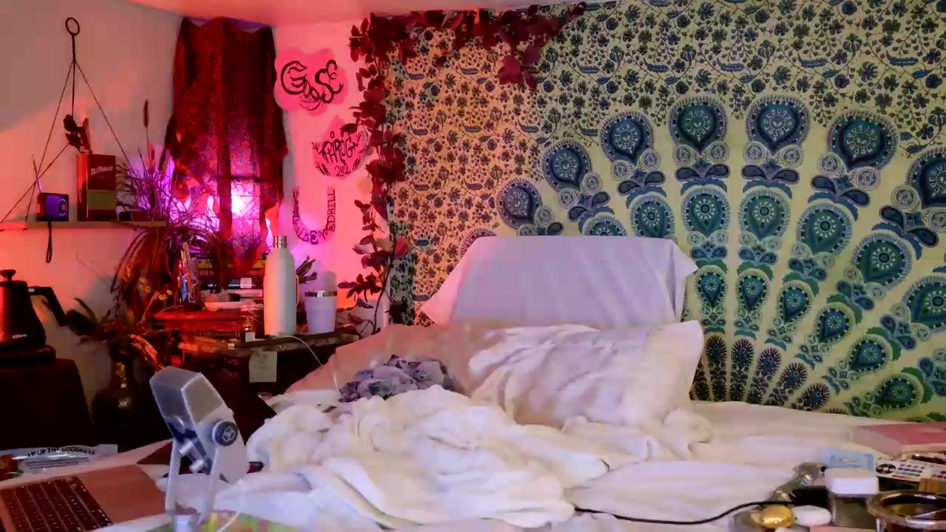 Gallery image thumbnail from ellispierce's myfreecams stream on, 05/22/2026, 09:35 image 6 of 20