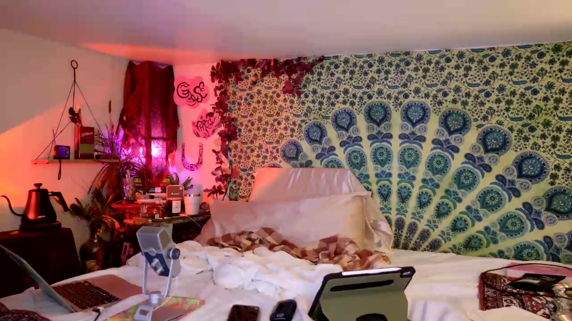 Gallery image thumbnail from ellispierce's myfreecams stream on, 05/24/2026, 06:34 image 3 of 20