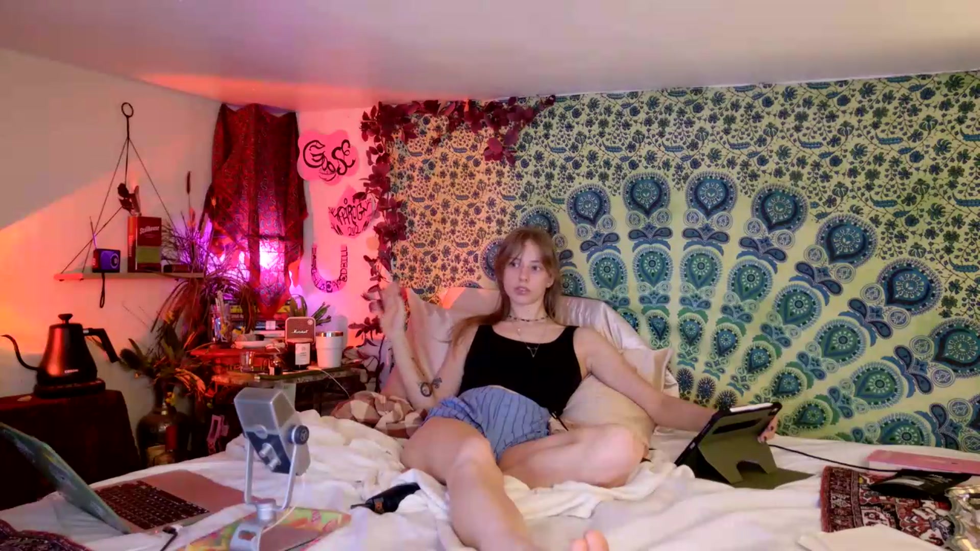 Gallery image thumbnail from ellispierce's myfreecams stream on, 05/24/2026, 06:34 image 14 of 20