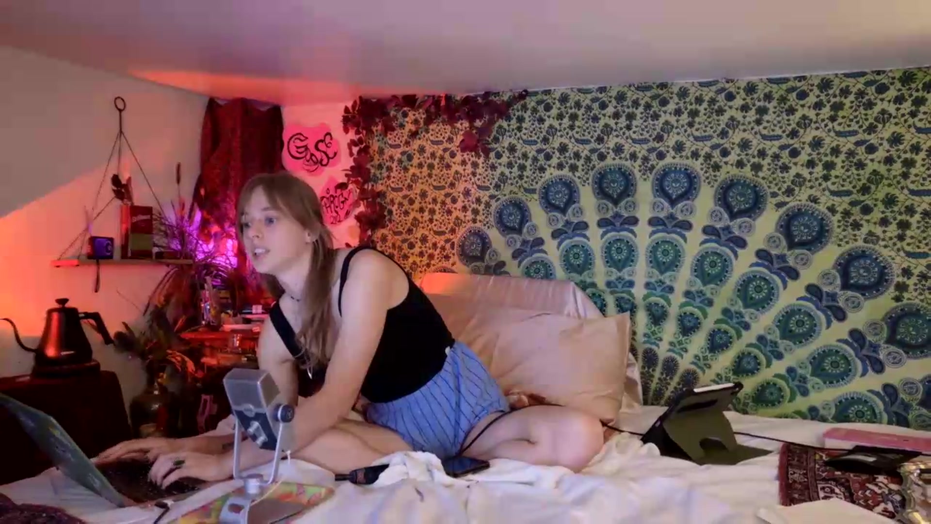 Gallery image thumbnail from ellispierce's myfreecams stream on, 05/24/2026, 06:34 image 18 of 20