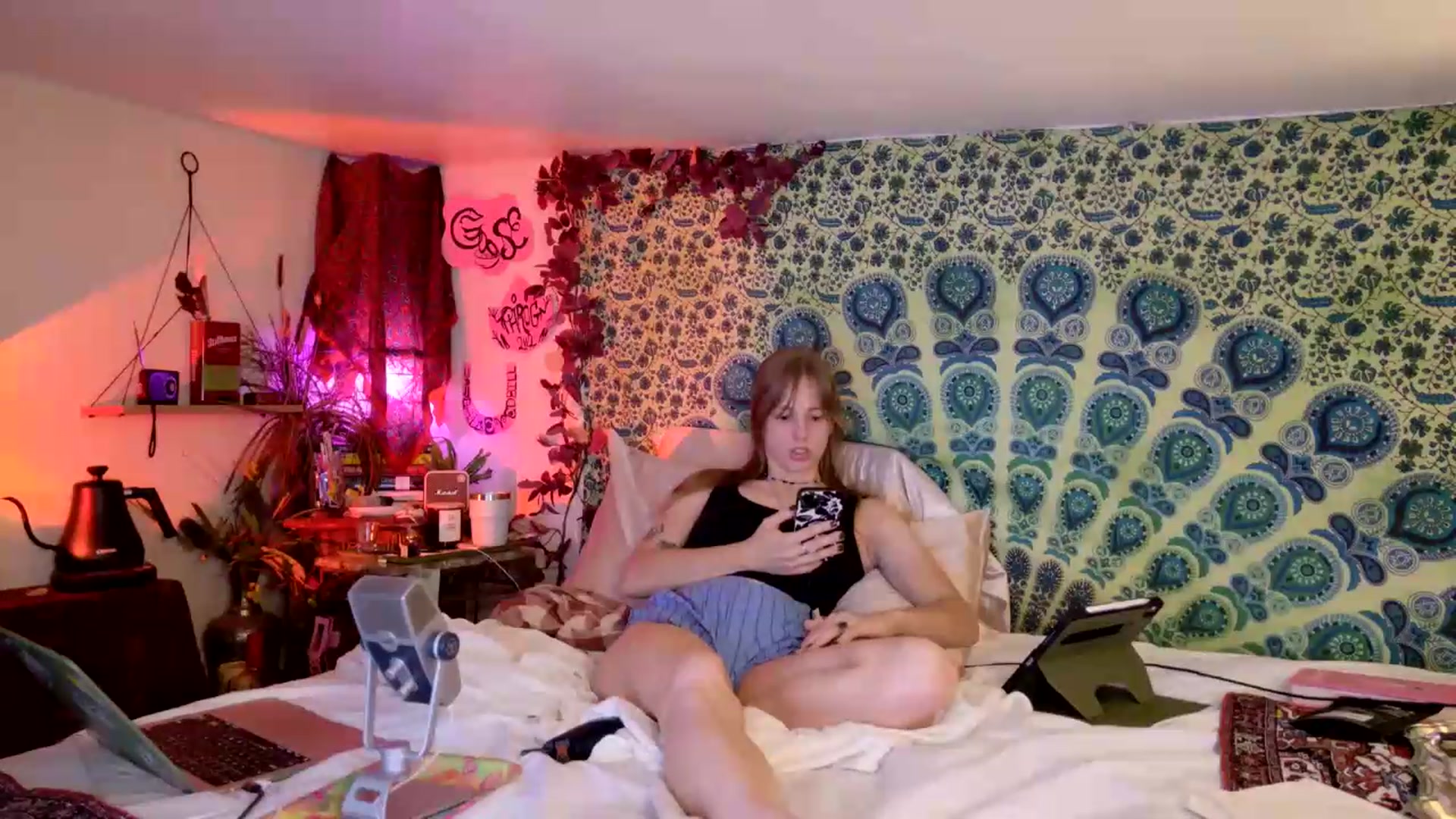 Gallery image thumbnail from ellispierce's myfreecams stream on, 05/24/2026, 06:34 image 15 of 20