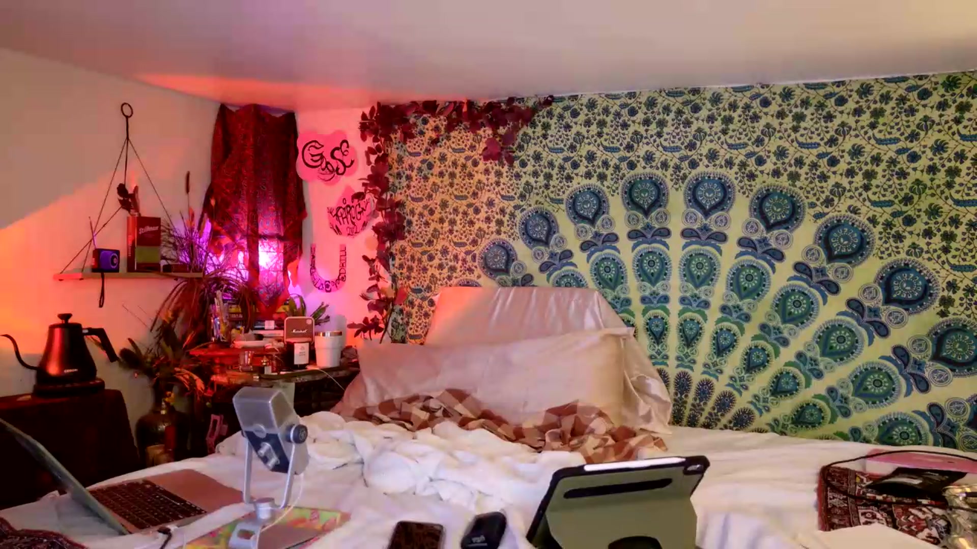 Gallery image thumbnail from ellispierce's myfreecams stream on, 05/24/2026, 06:34 image 4 of 20