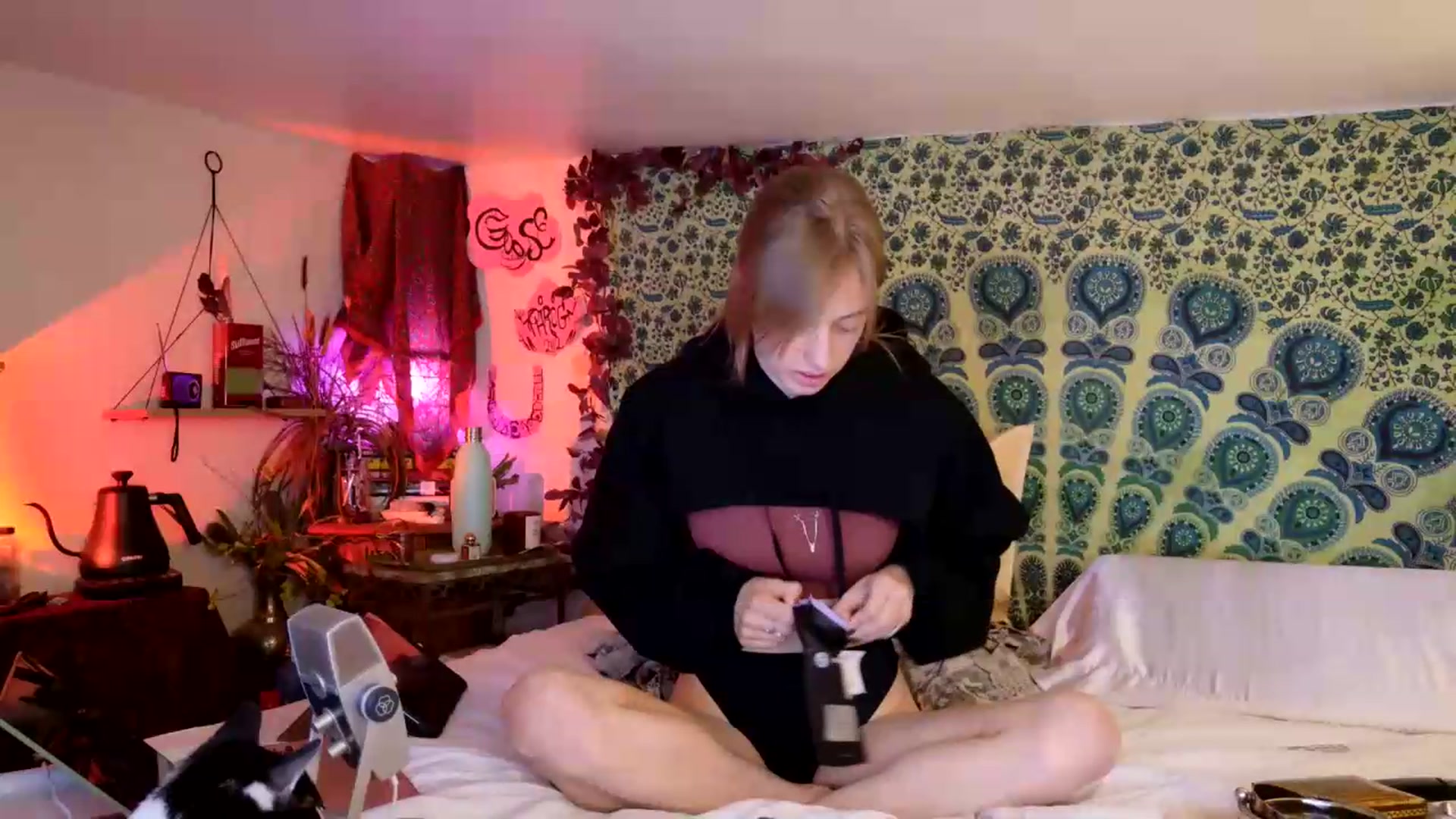 Gallery image thumbnail from ellispierce's myfreecams stream on, 05/28/2026, 08:05 image 17 of 20