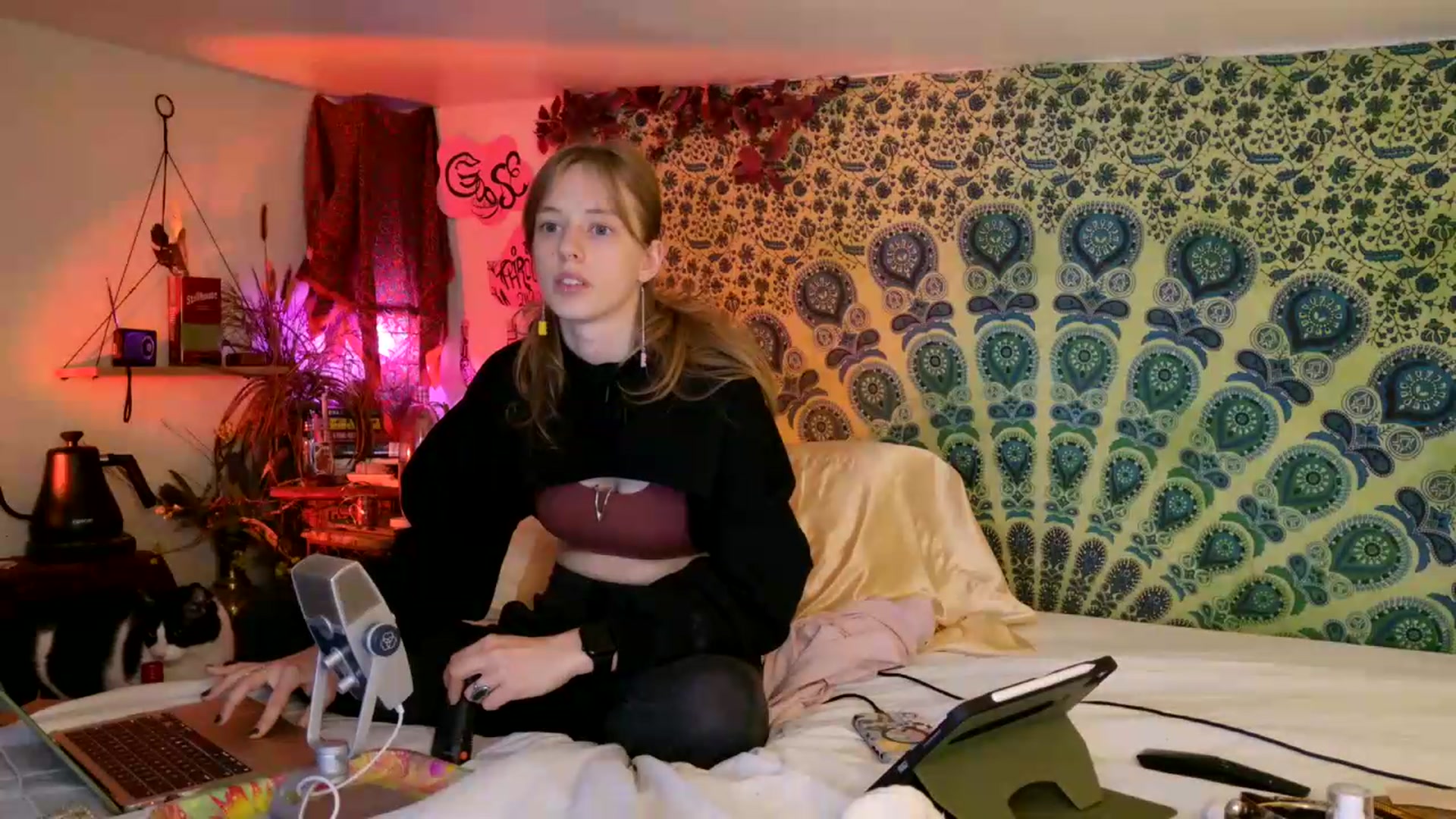Gallery image thumbnail from ellispierce's myfreecams stream on, 05/29/2026, 08:26 image 6 of 20