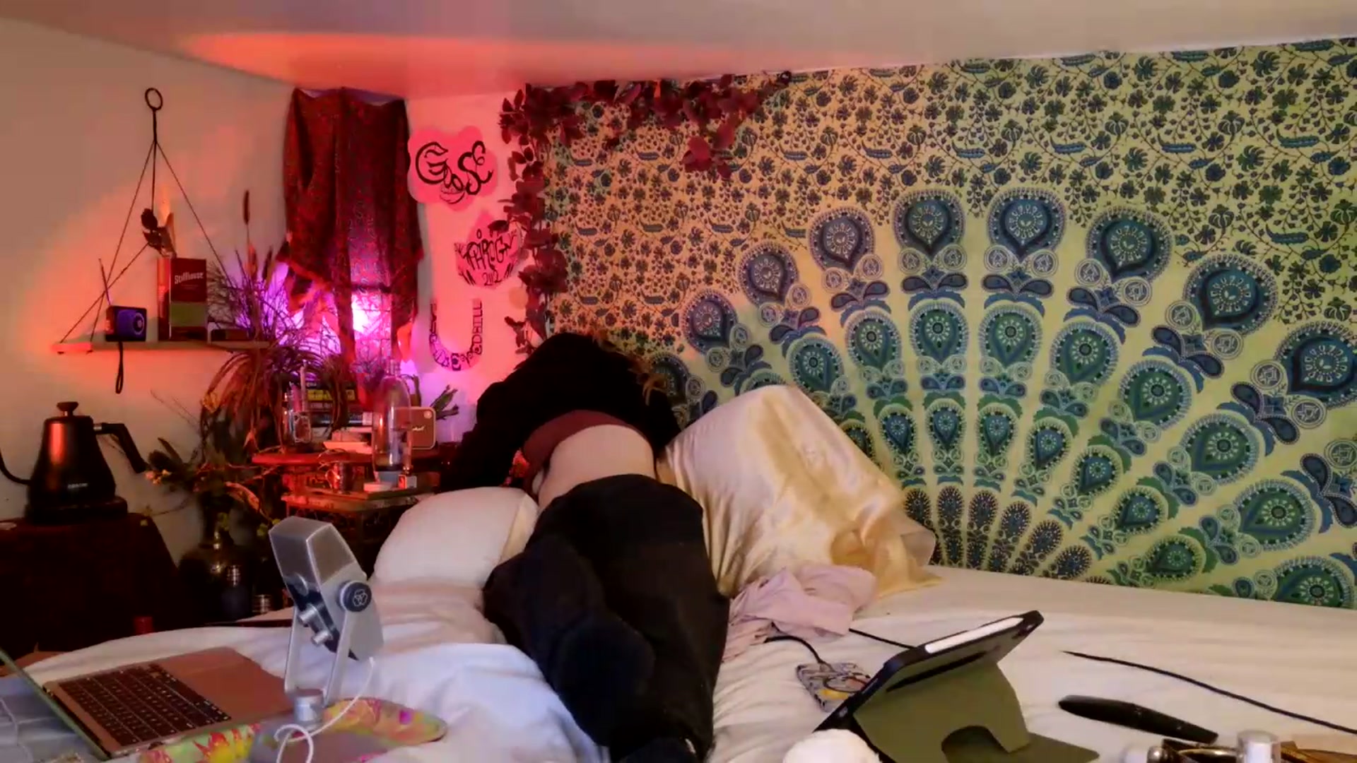 Gallery image thumbnail from ellispierce's myfreecams stream on, 05/29/2026, 08:26 image 7 of 20