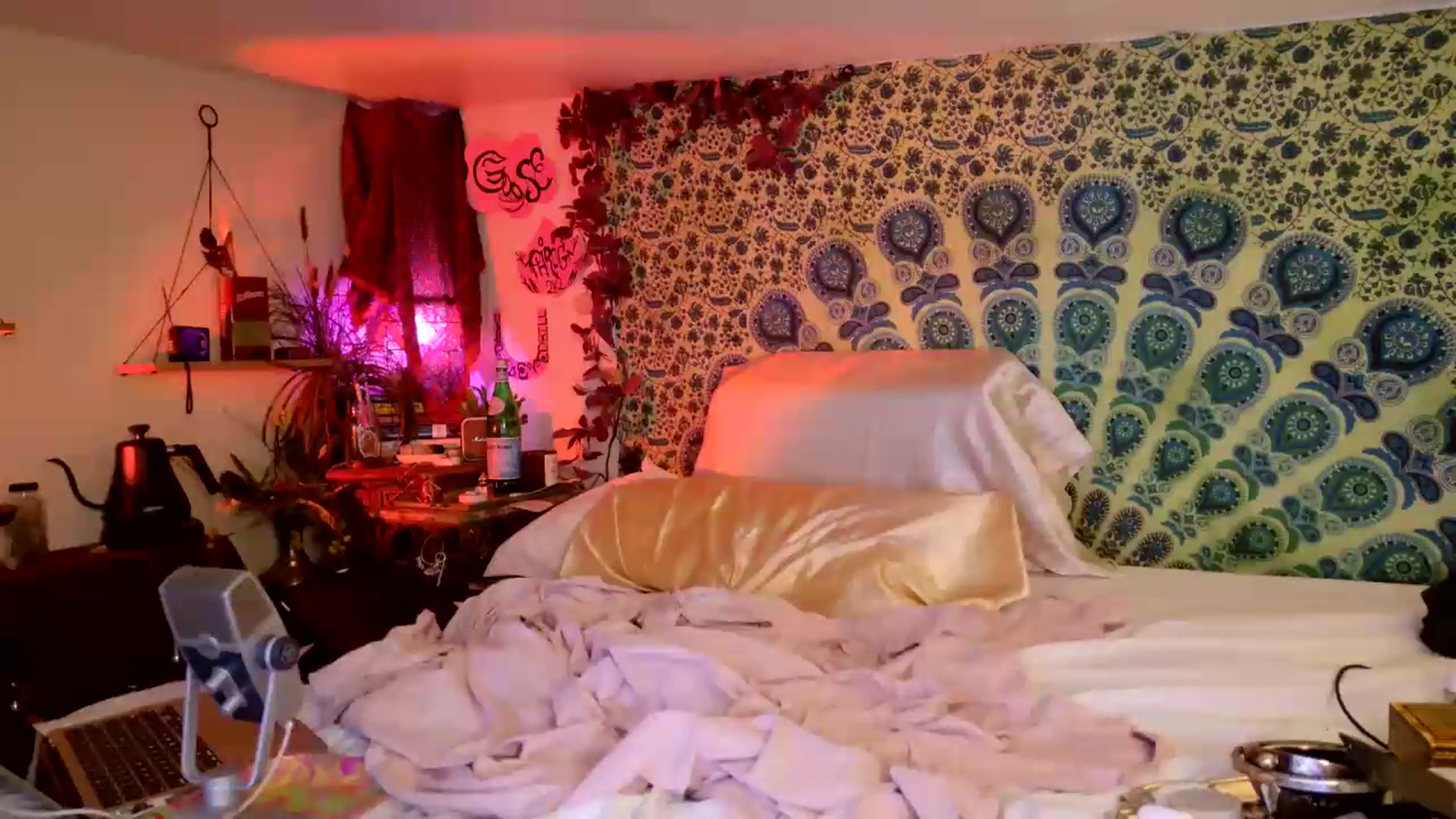 Gallery image thumbnail from ellispierce's myfreecams stream on, 05/30/2026, 10:24 image 2 of 20