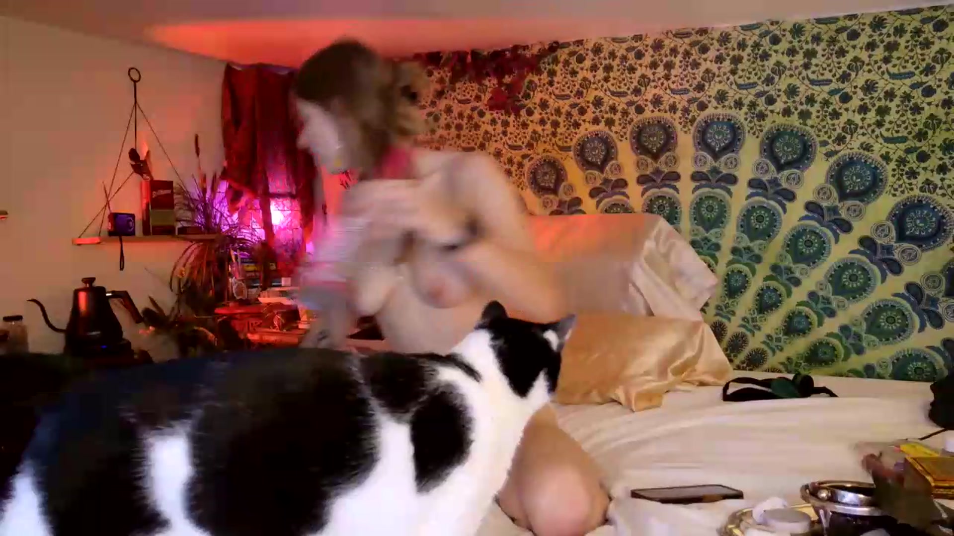Gallery image thumbnail from ellispierce's myfreecams stream on, 05/30/2026, 10:24 image 19 of 20