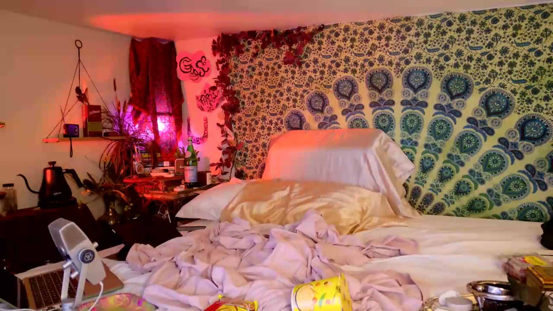 Gallery image thumbnail from ellispierce's myfreecams stream on, 05/30/2026, 10:24 image 13 of 20