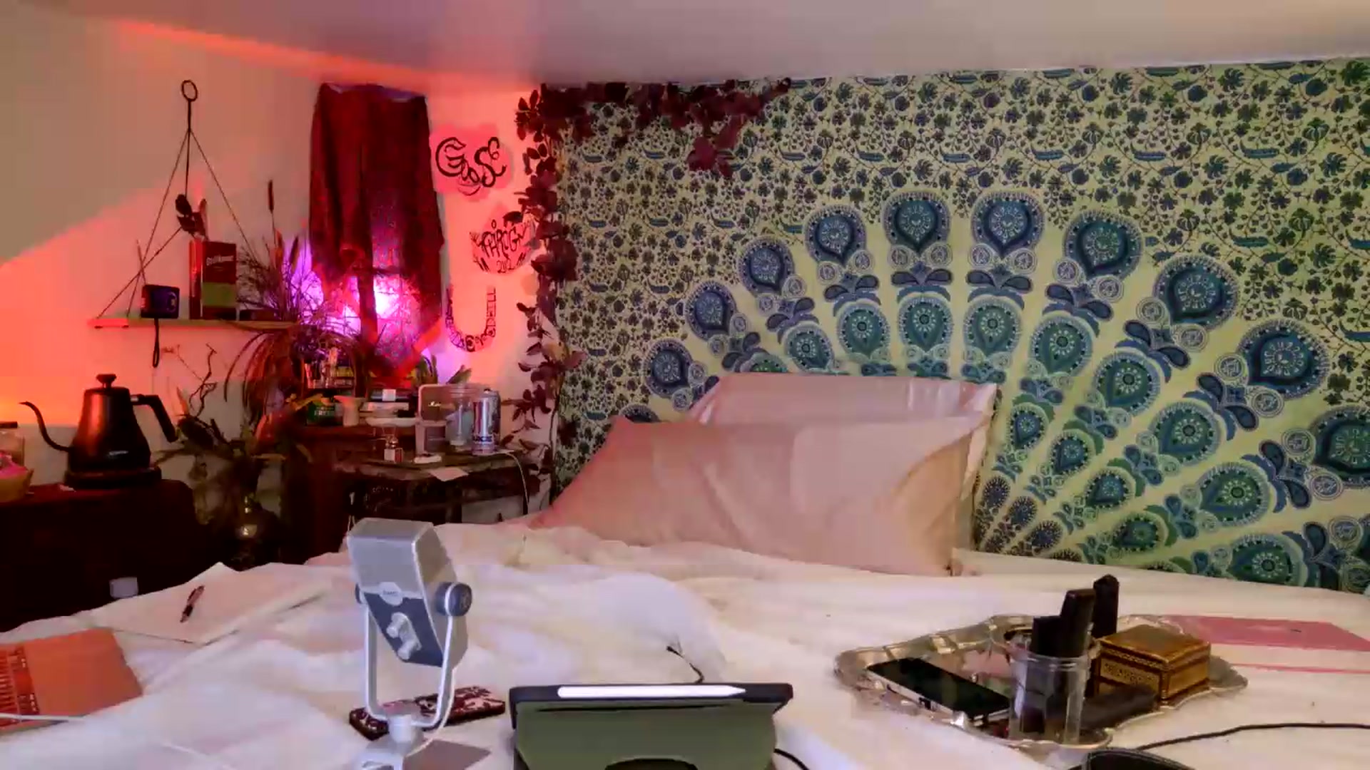 Gallery image thumbnail from ellispierce's myfreecams stream on, 06/11/2026, 09:27 image 12 of 20