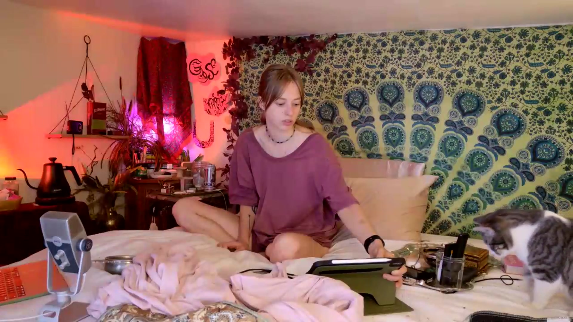 Gallery image thumbnail from ellispierce's myfreecams stream on, 06/11/2026, 09:27 image 3 of 20