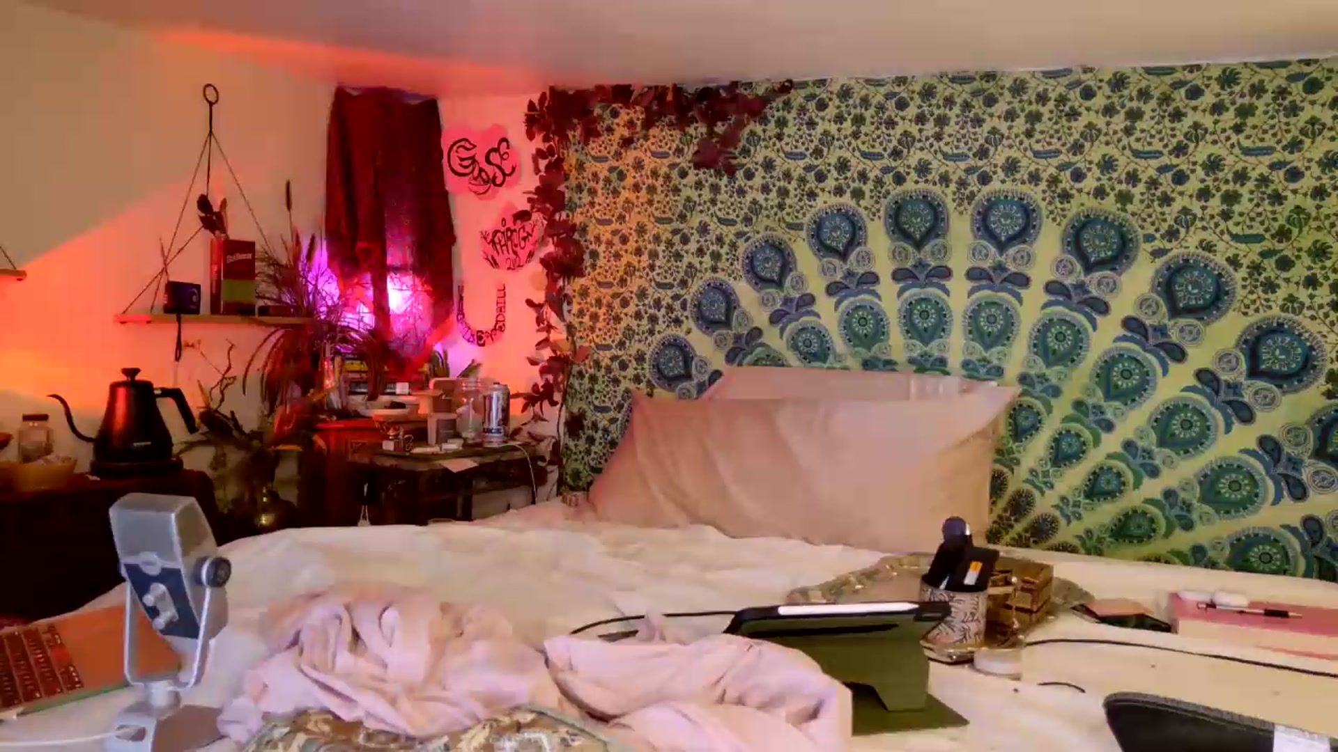 Gallery image thumbnail from ellispierce's myfreecams stream on, 06/11/2026, 09:27 image 2 of 20