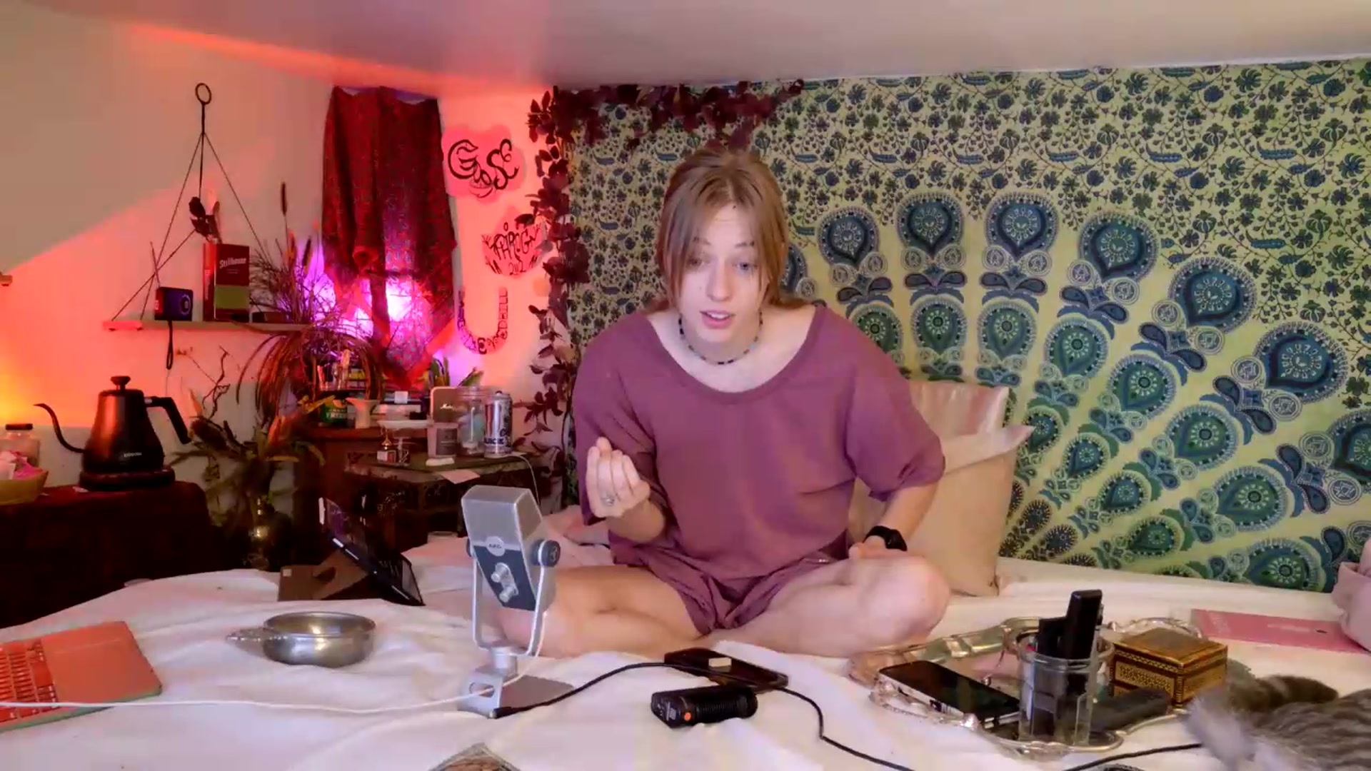 Gallery image thumbnail from ellispierce's myfreecams stream on, 06/11/2026, 09:27 image 4 of 20