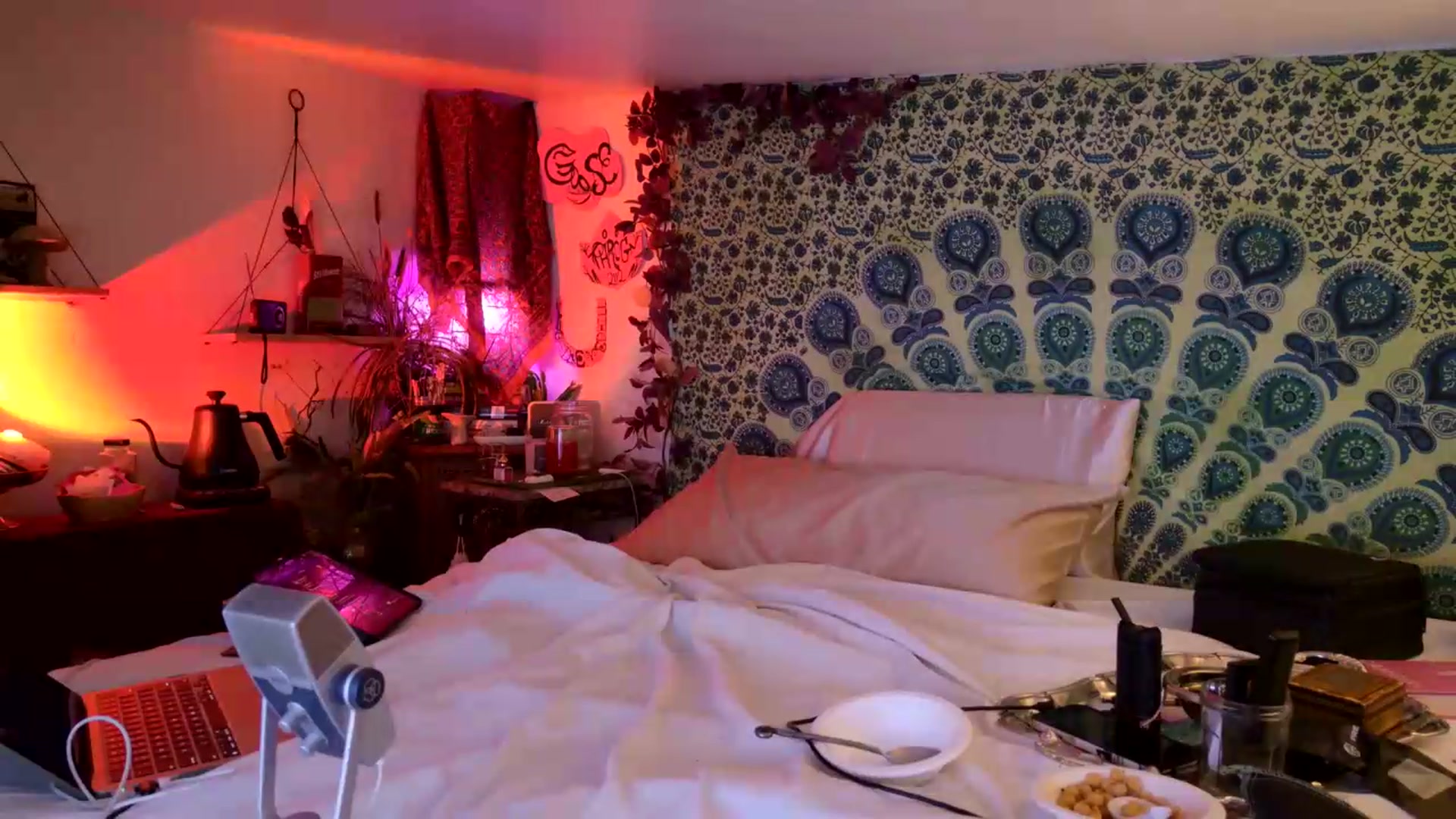 Gallery image thumbnail from ellispierce's myfreecams stream on, 06/11/2026, 10:10 image 17 of 20