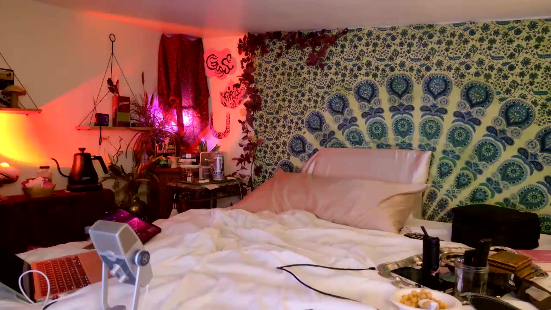 Gallery image thumbnail from ellispierce's myfreecams stream on, 06/11/2026, 10:10 image 11 of 20