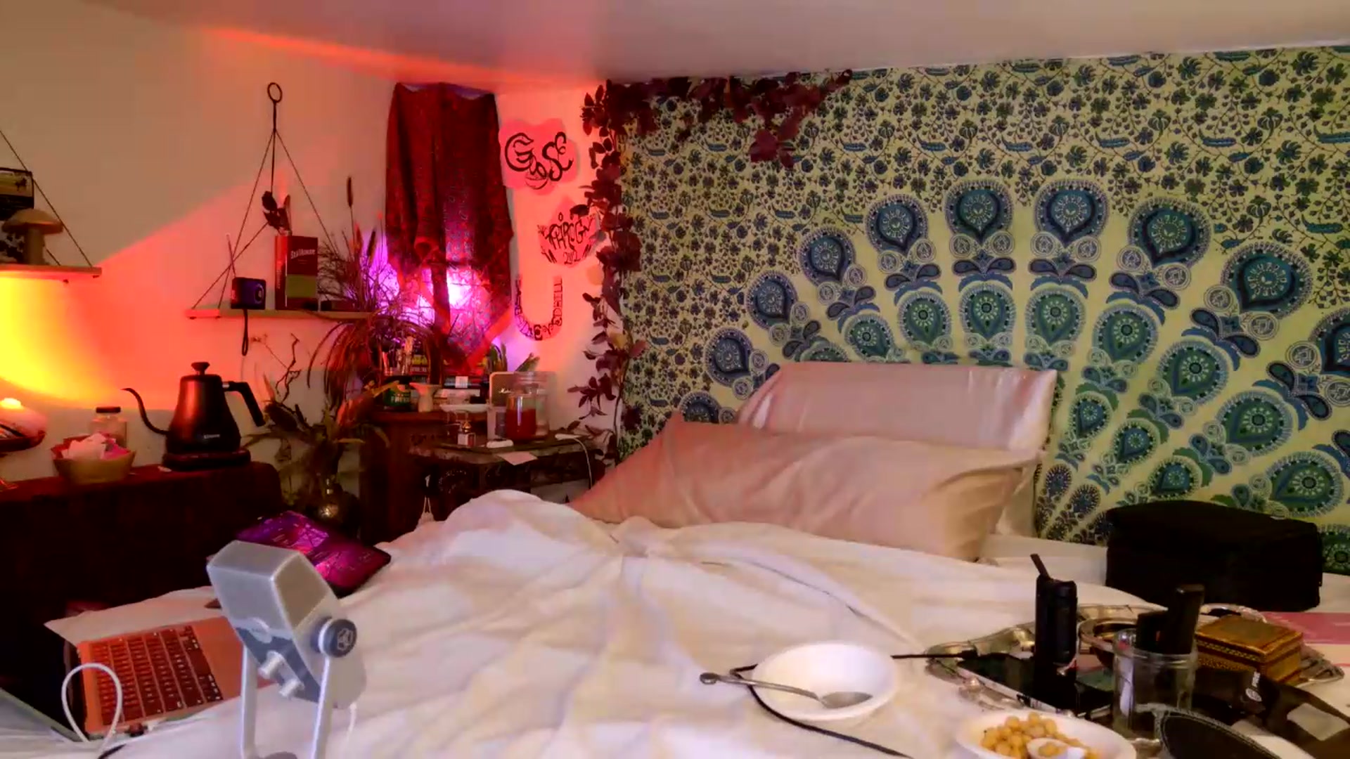 Gallery image thumbnail from ellispierce's myfreecams stream on, 06/11/2026, 10:10 image 16 of 20