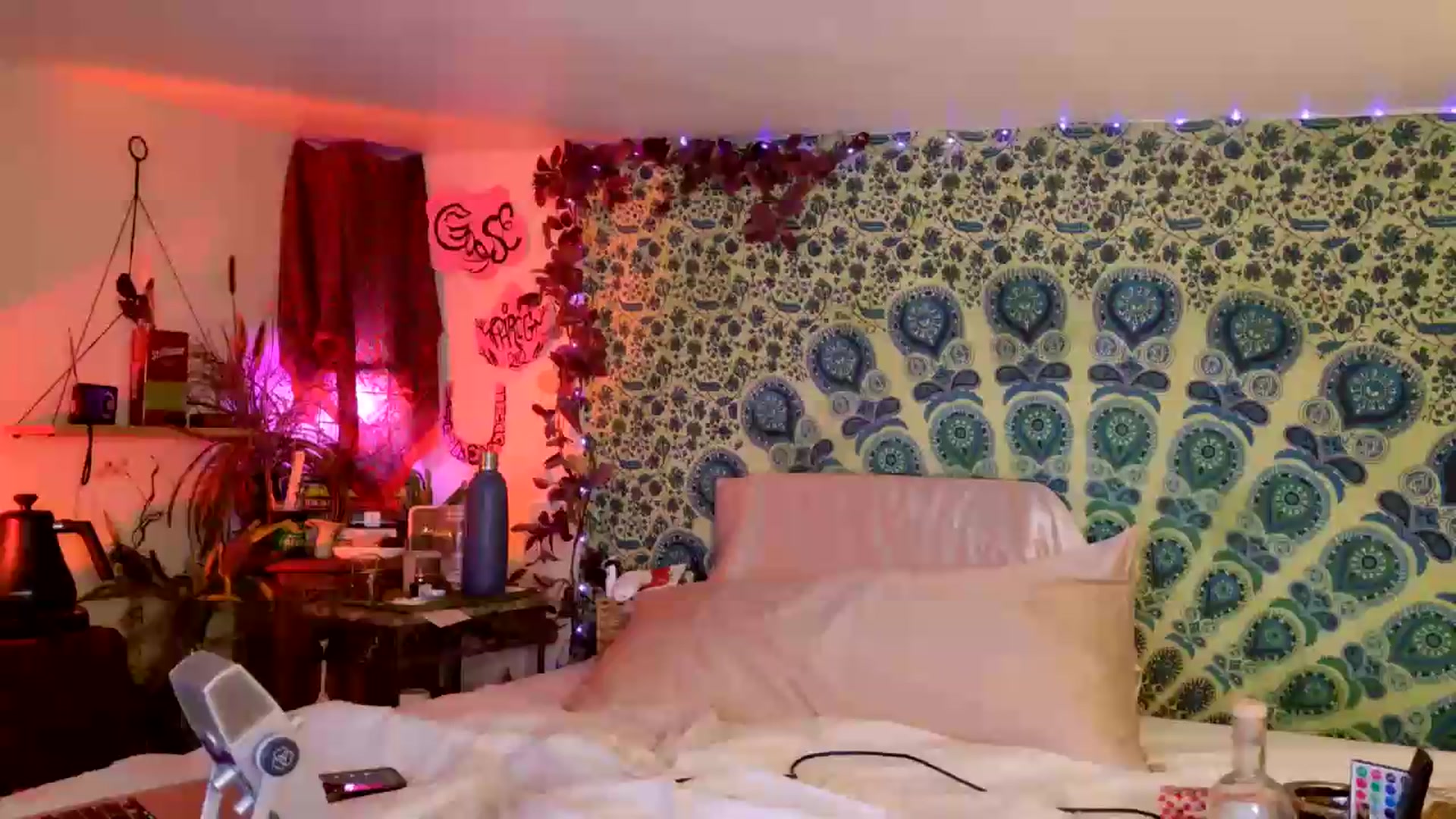 Gallery image thumbnail from ellispierce's myfreecams stream on, 06/12/2026, 10:06 image 17 of 20