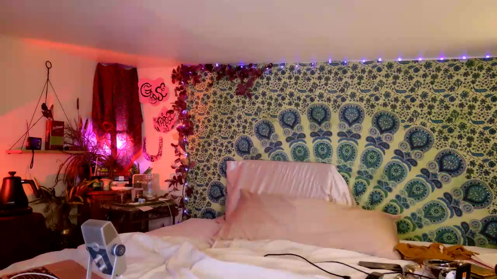 Gallery image thumbnail from ellispierce's myfreecams stream on, 06/13/2026, 08:17 image 16 of 20