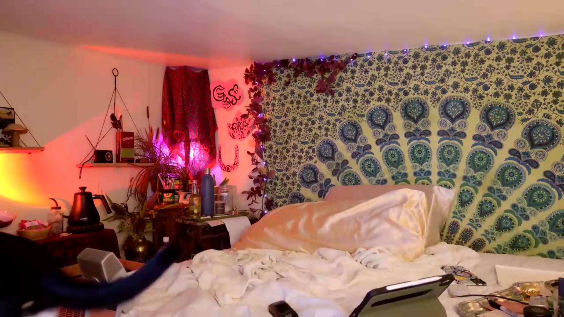 Gallery image thumbnail from ellispierce's myfreecams stream on, 06/19/2026, 07:22 image 3 of 20