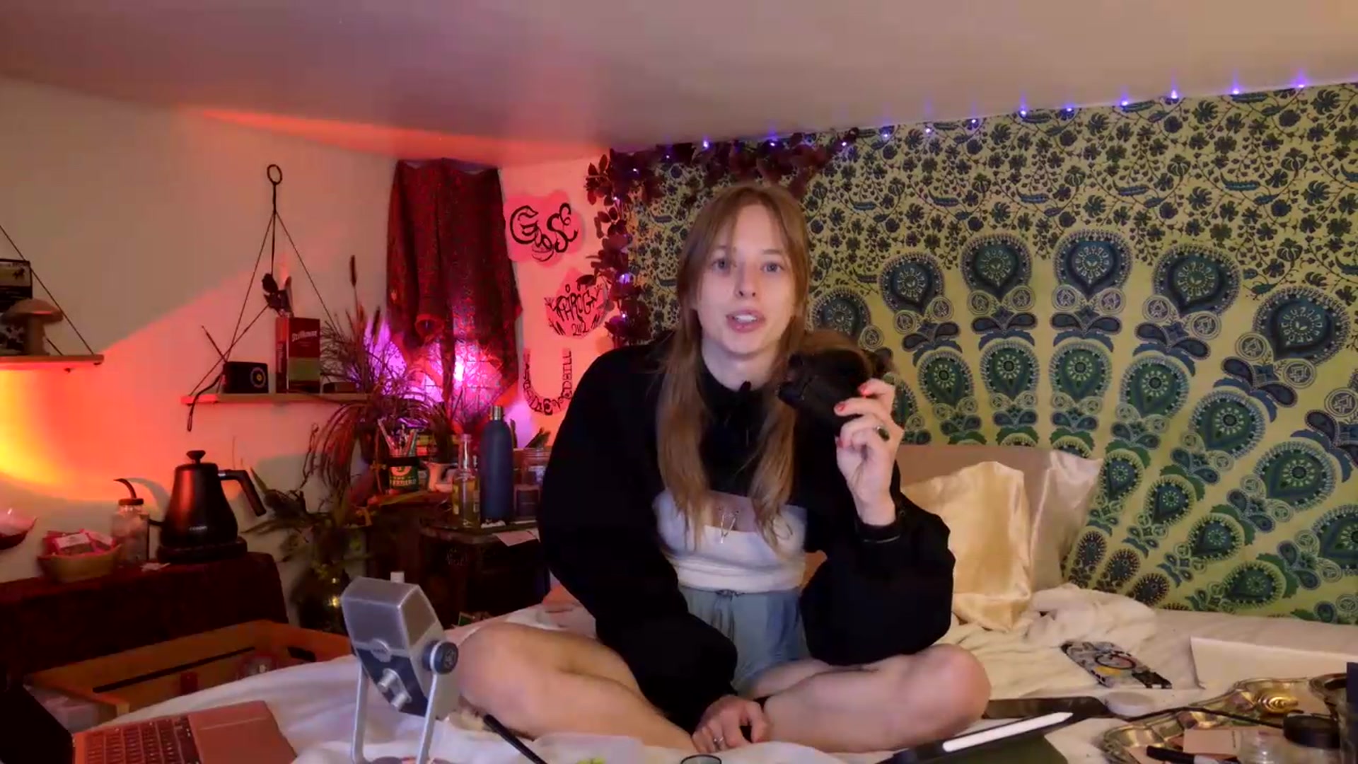 Gallery image thumbnail from ellispierce's myfreecams stream on, 06/19/2026, 07:22 image 12 of 20