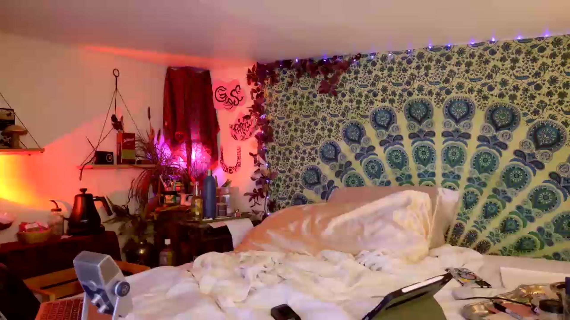 Gallery image thumbnail from ellispierce's myfreecams stream on, 06/19/2026, 07:22 image 4 of 20