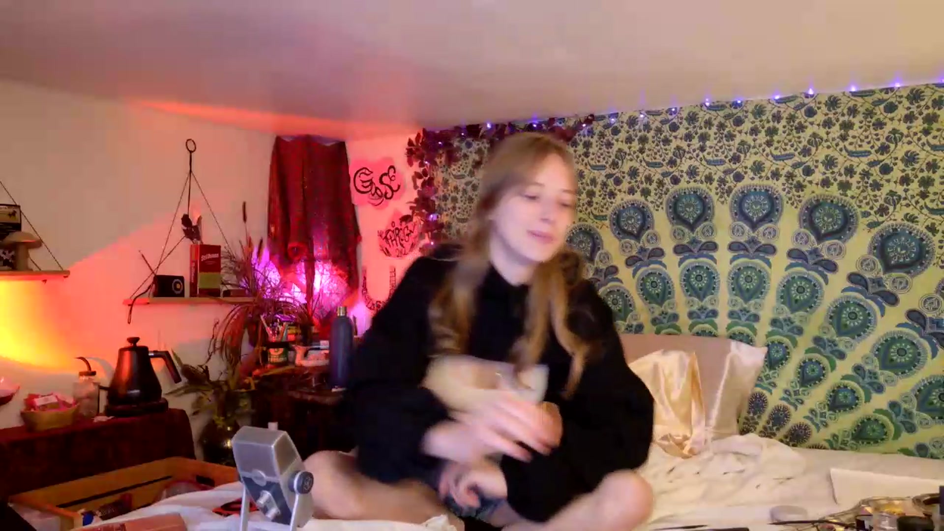 Gallery image thumbnail from ellispierce's myfreecams stream on, 06/19/2026, 08:45 image 10 of 20