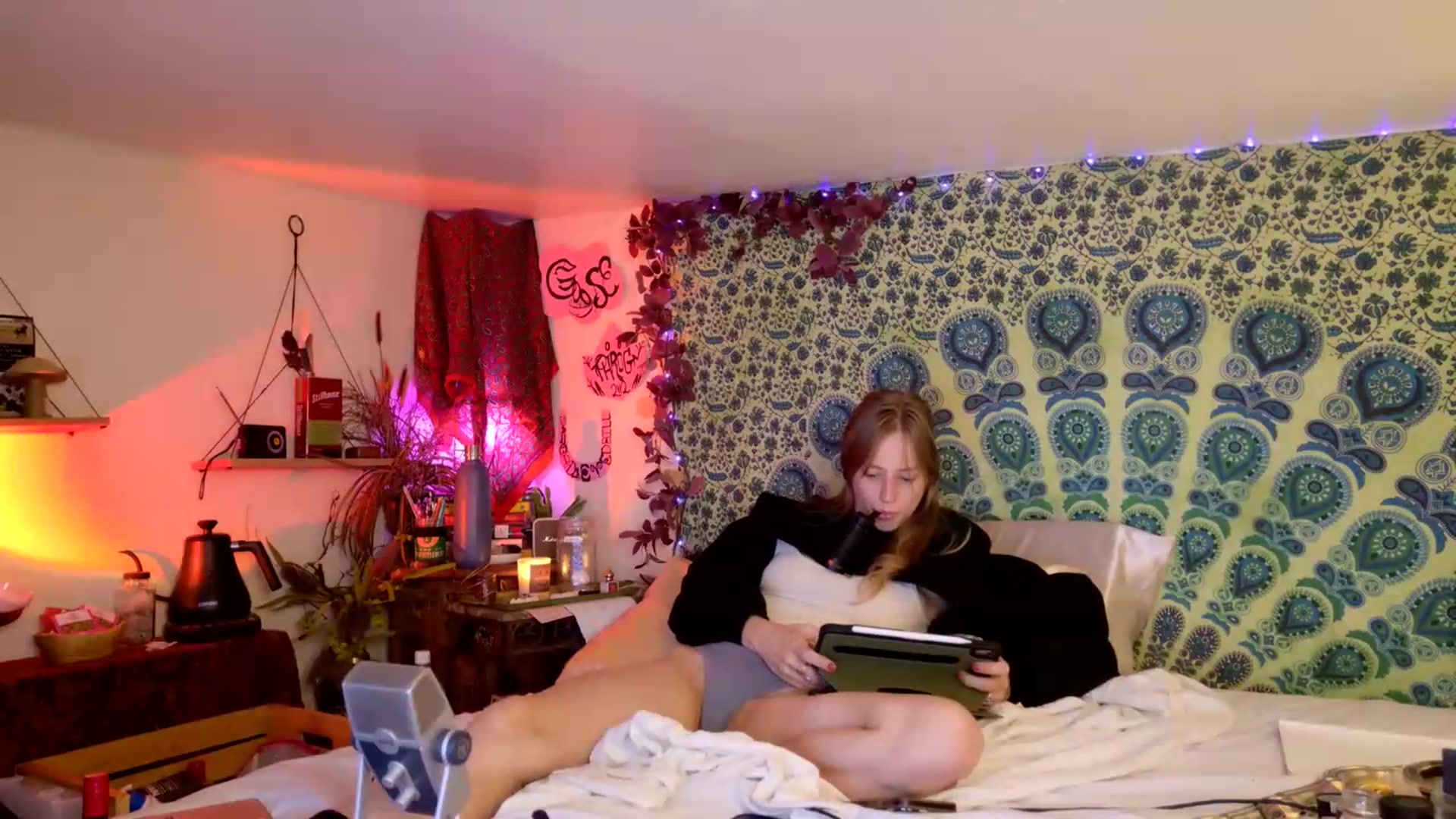 Gallery image thumbnail from ellispierce's myfreecams stream on, 06/19/2026, 08:45 image 19 of 20