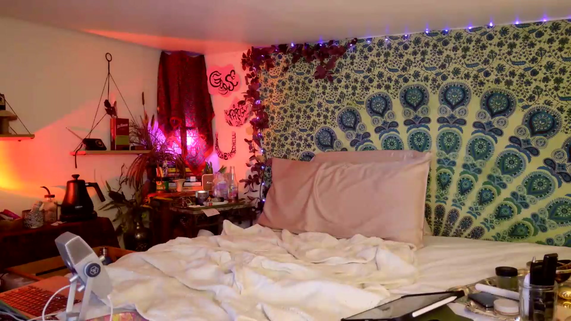 Gallery image thumbnail from ellispierce's myfreecams stream on, 06/22/2026, 08:12 image 6 of 20