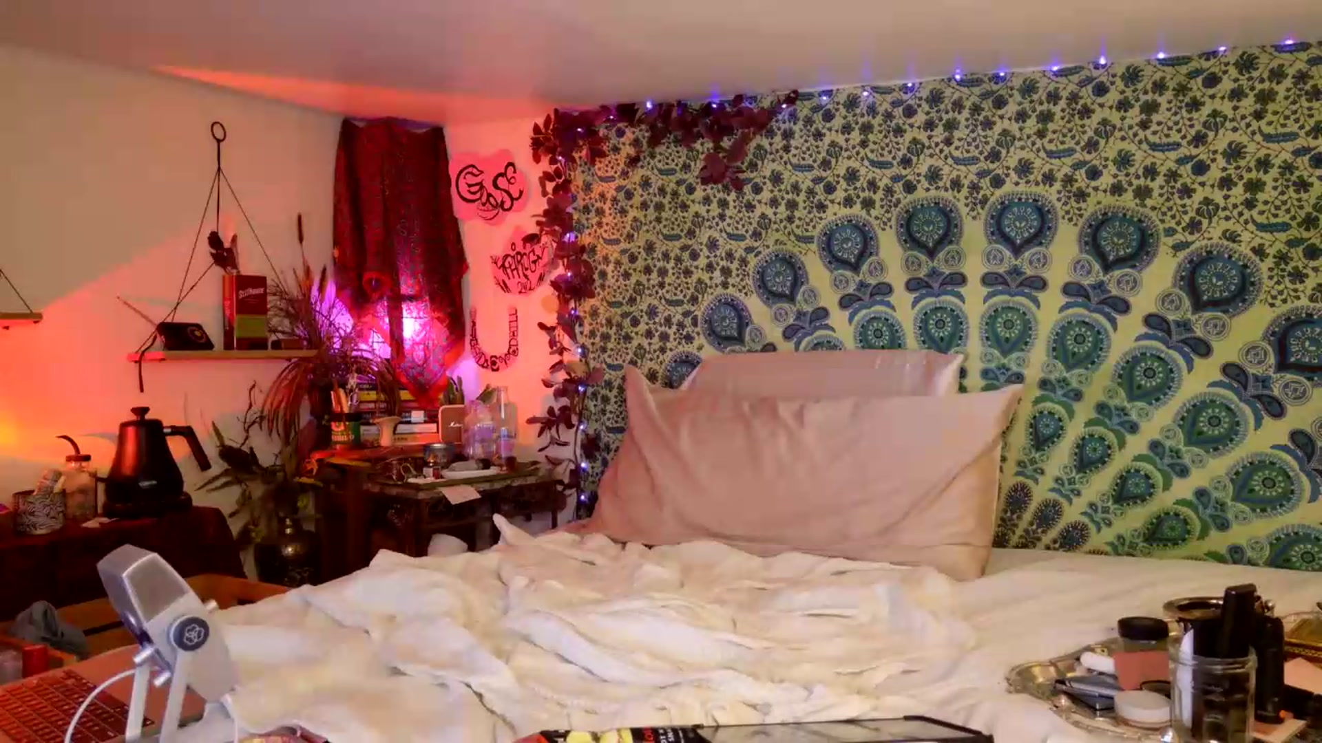 Gallery image thumbnail from ellispierce's myfreecams stream on, 06/22/2026, 08:12 image 13 of 20
