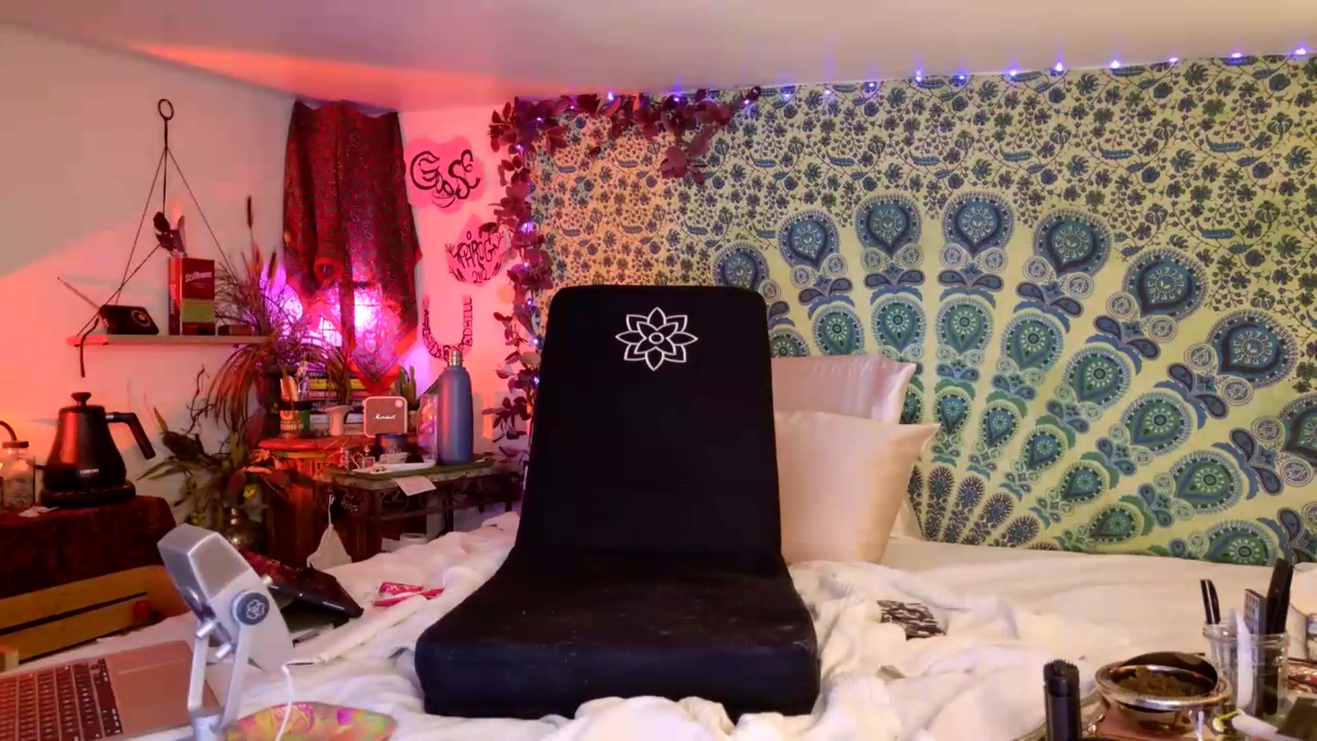 Gallery image thumbnail from ellispierce's myfreecams stream on, 06/23/2026, 08:16 image 6 of 20