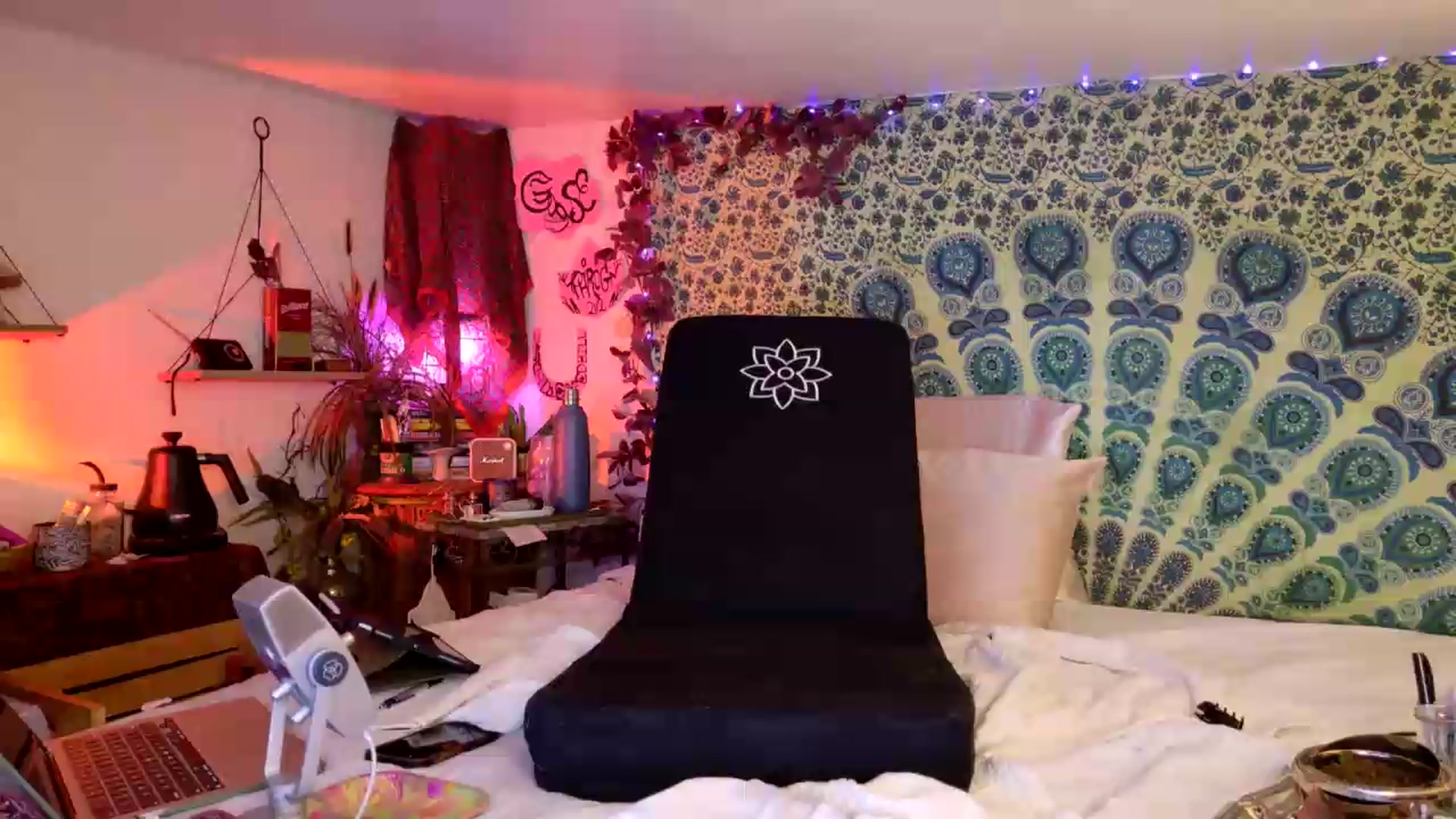Gallery image thumbnail from ellispierce's myfreecams stream on, 06/23/2026, 08:16 image 1 of 20