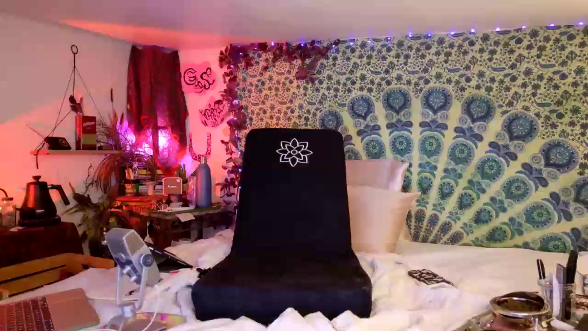 Gallery image thumbnail from ellispierce's myfreecams stream on, 06/23/2026, 08:16 image 11 of 20