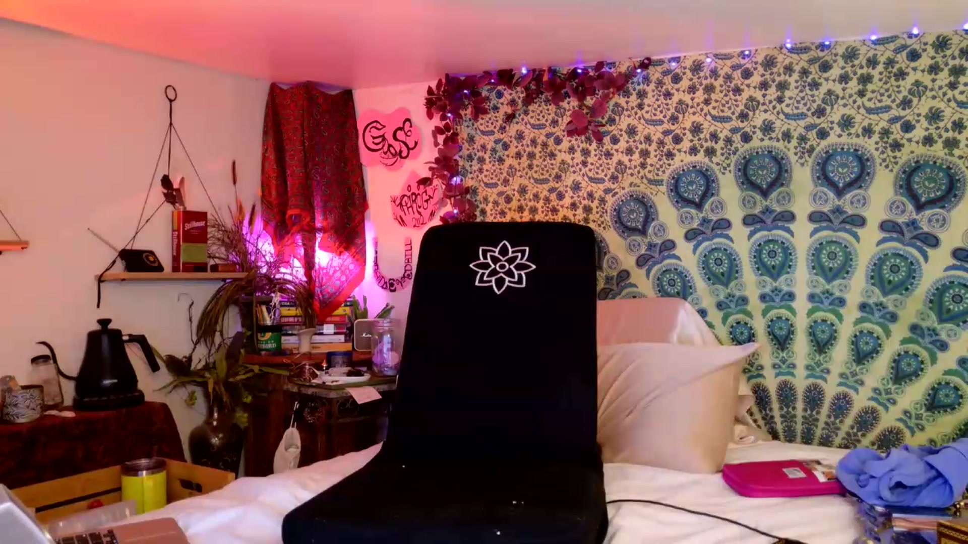 Gallery image thumbnail from ellispierce's myfreecams stream on, 06/28/2026, 07:21 image 13 of 20