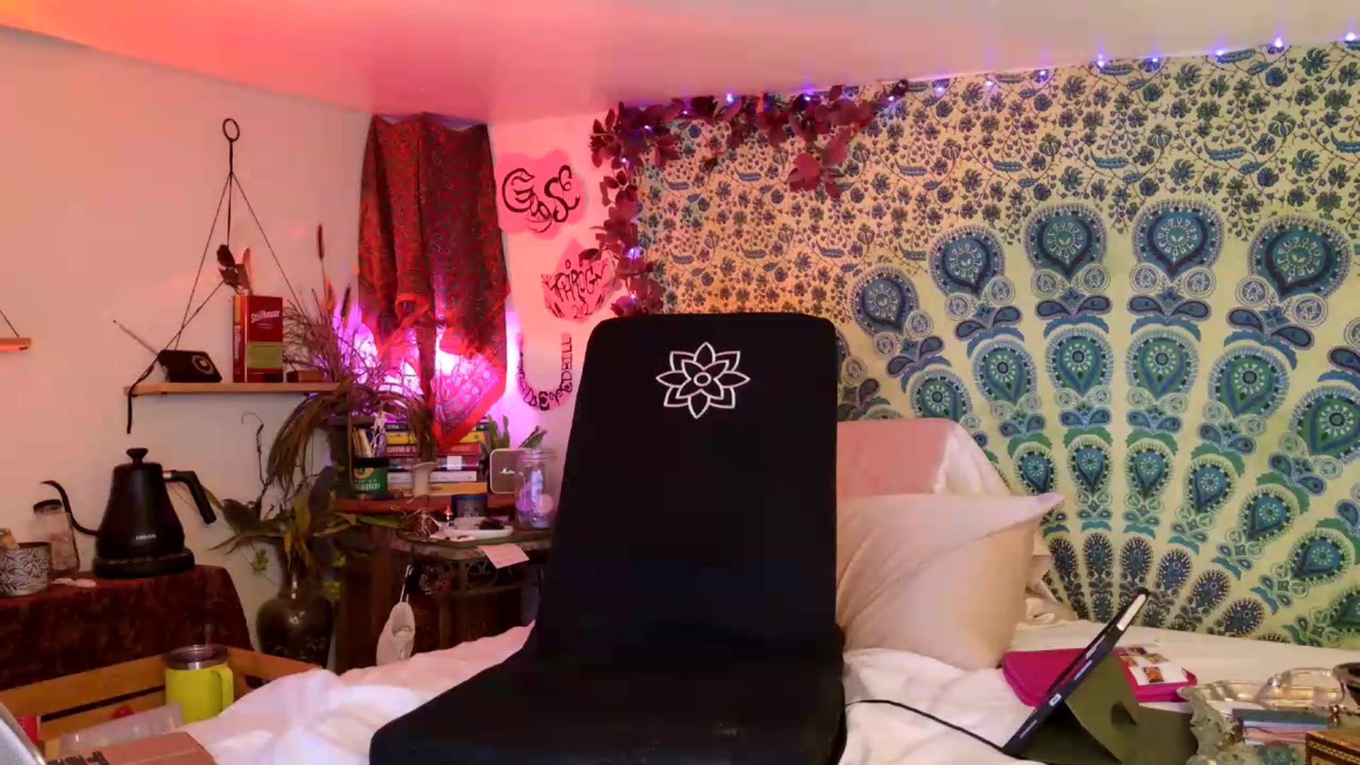 Gallery image thumbnail from ellispierce's myfreecams stream on, 06/28/2026, 08:46 image 10 of 20